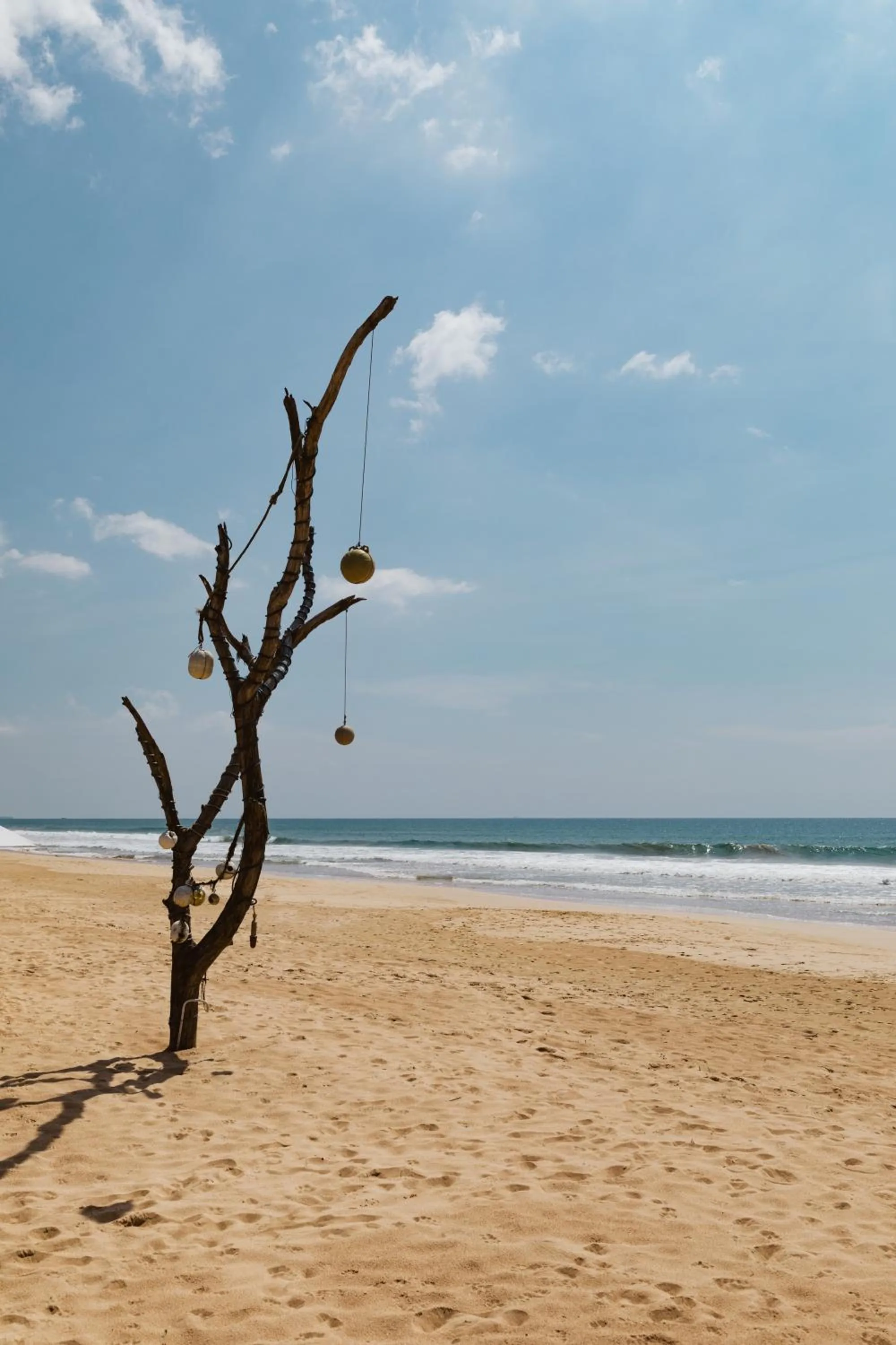 Natural landscape in Amal Beach Hotel