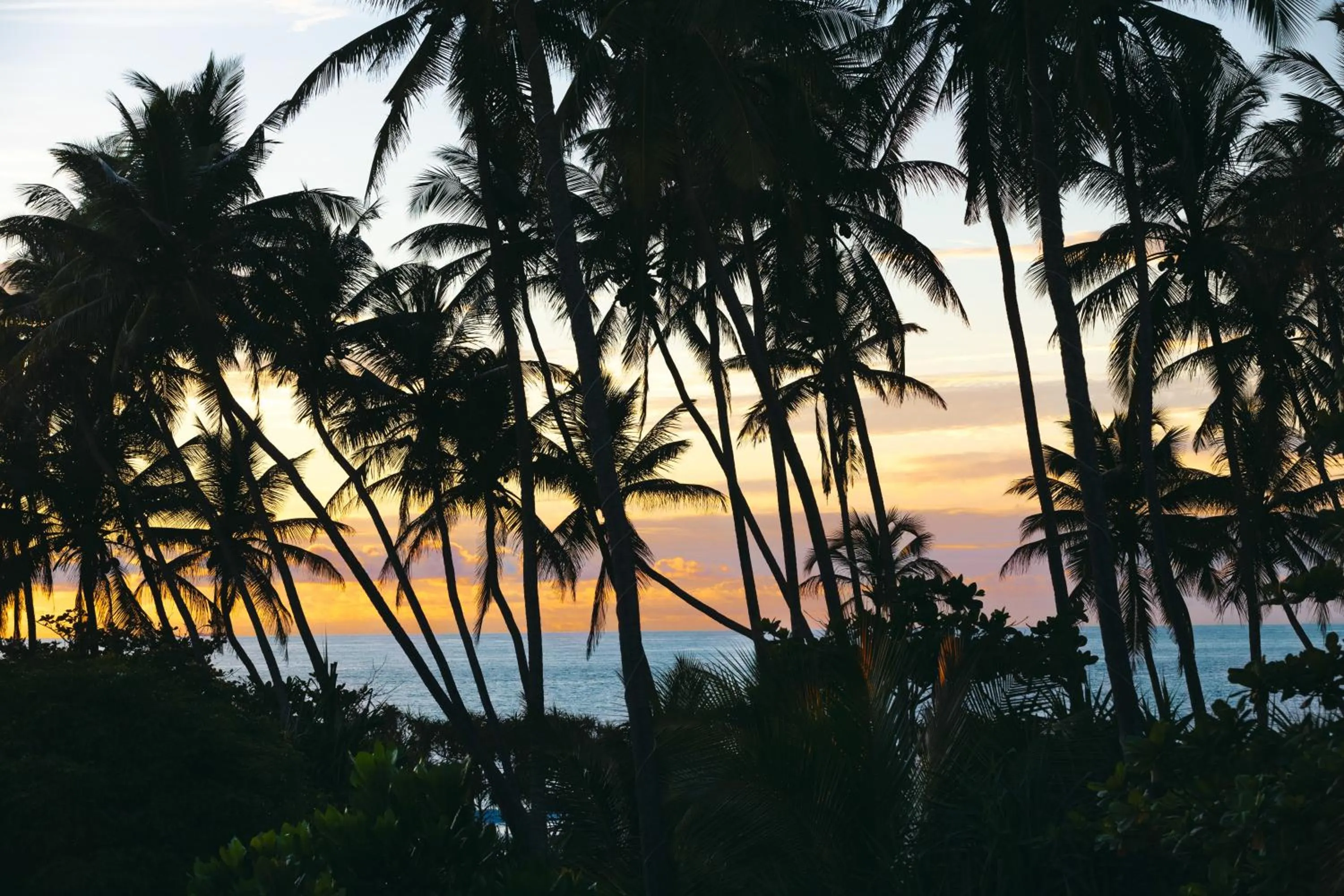 Natural landscape in Amal Beach Hotel