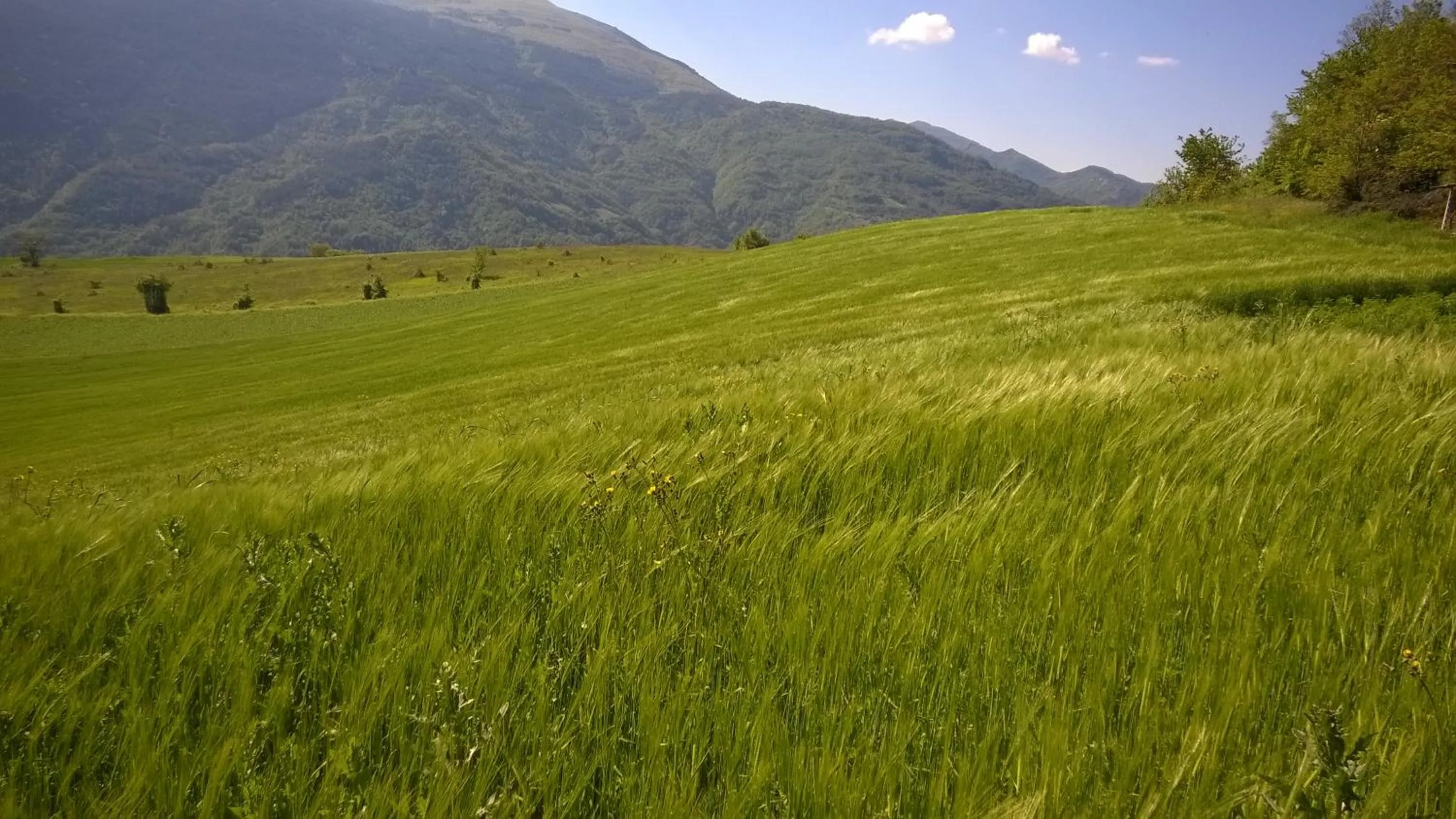 B&B Casale Giovannozzi