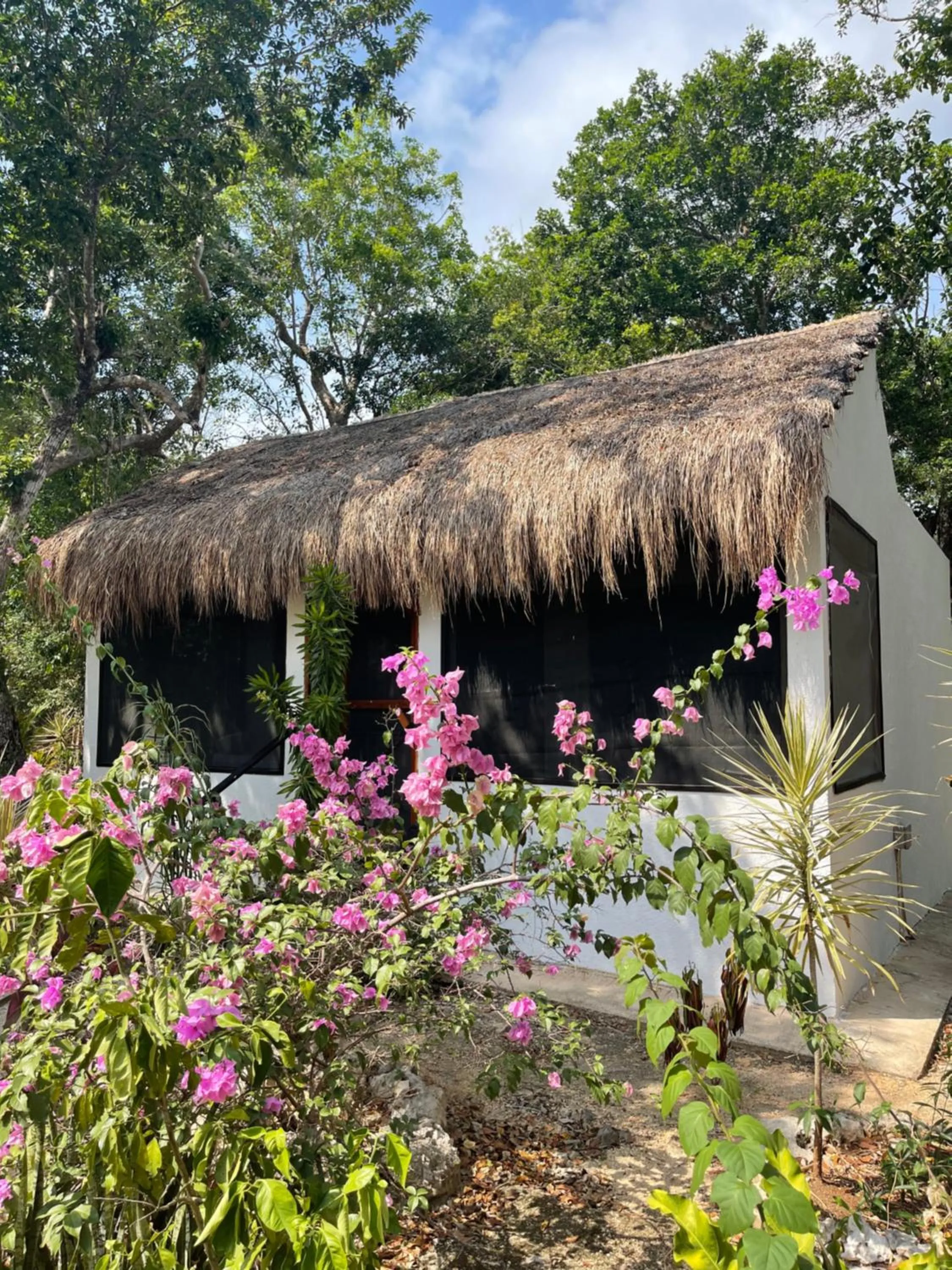 Facade/entrance in Maya Eco Village