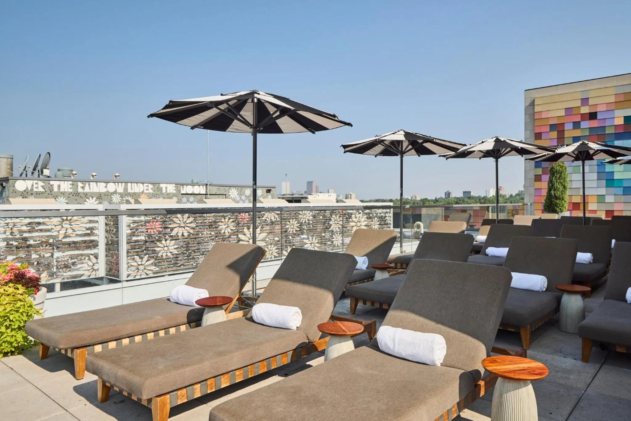 Swimming pool in Halcyon - A Hotel in Cherry Creek