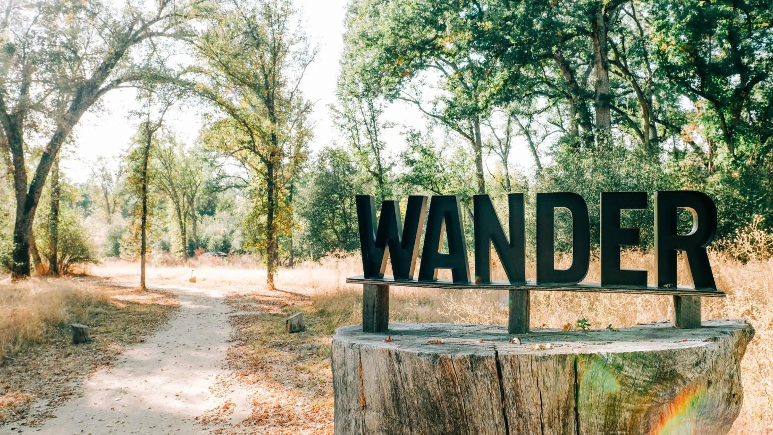 Natural landscape in Sierra Meadows