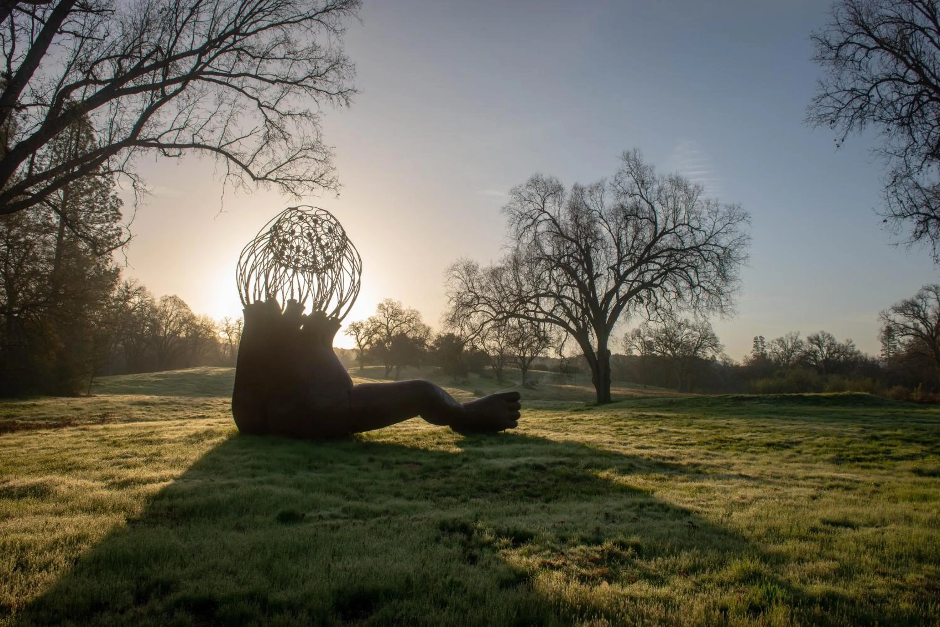 Garden in Sierra Meadows