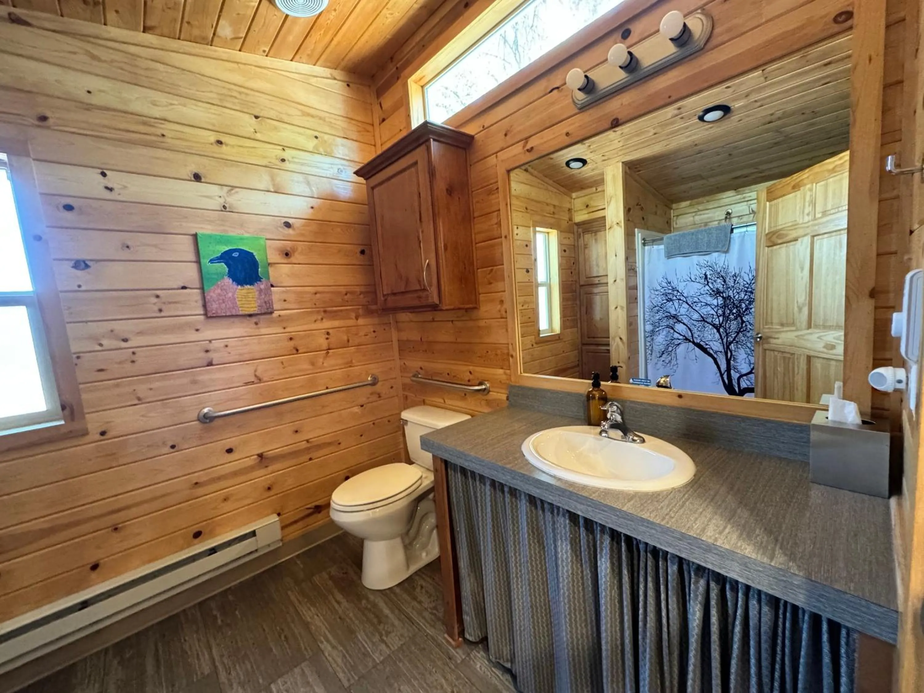 Toilet in Sierra Meadows