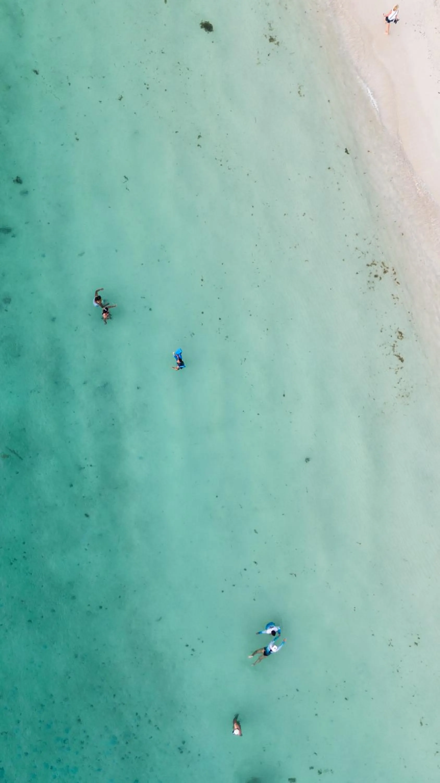 Beach in Seaside Inn Roatan