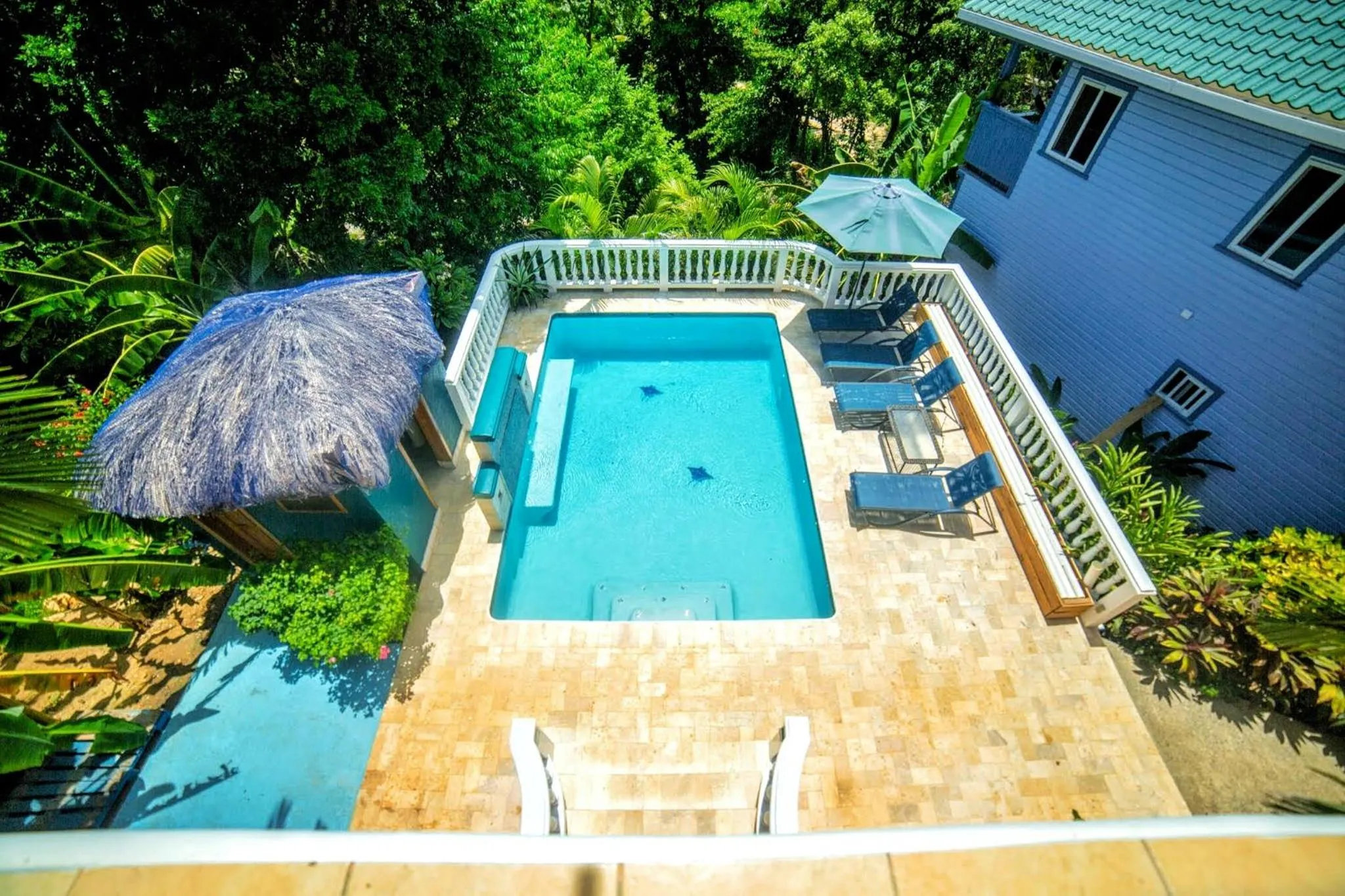 Garden view in Seaside Inn Roatan