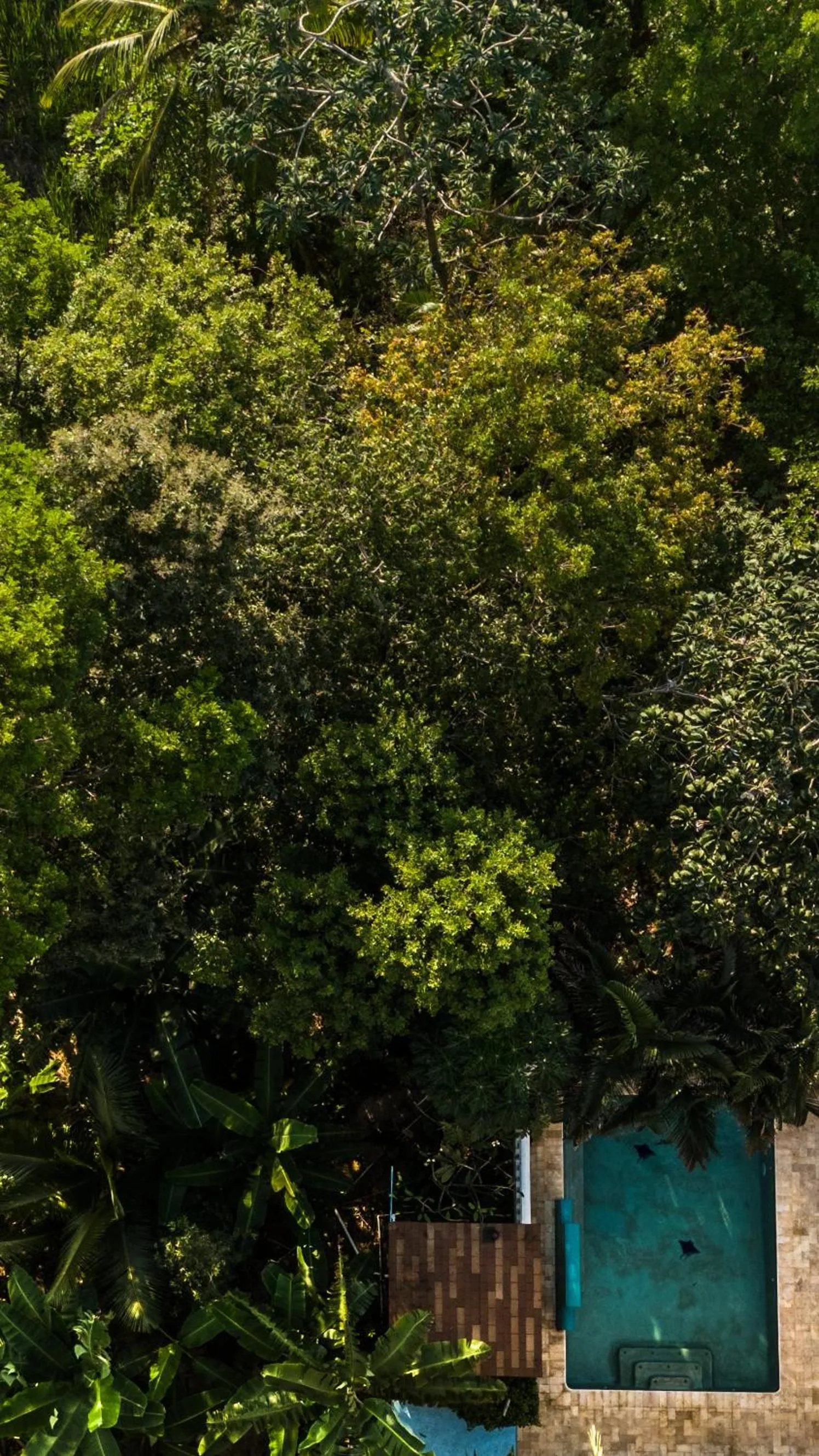 Swimming pool in Seaside Inn Roatan