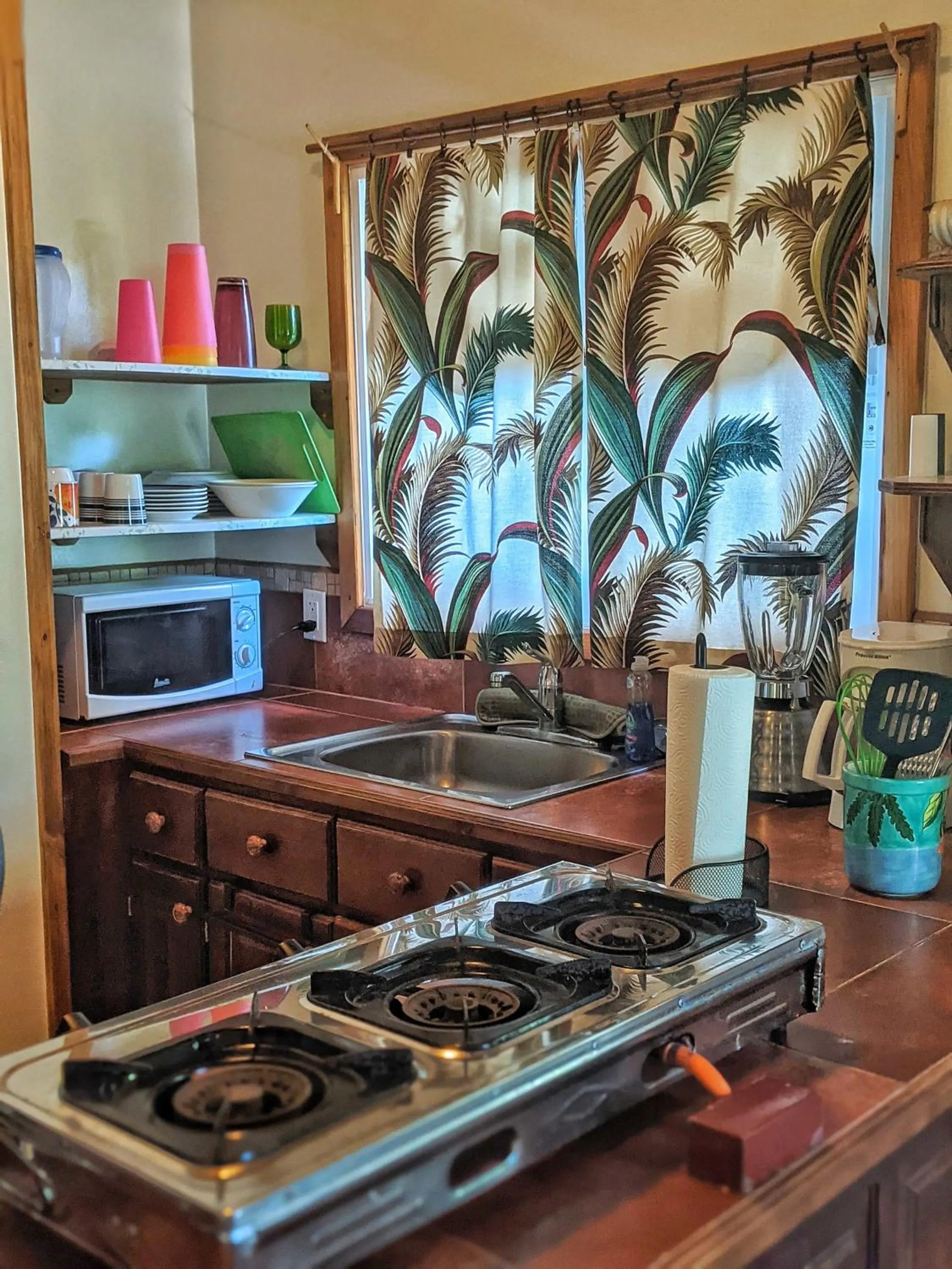 Kitchen or kitchenette in Seaside Inn Roatan