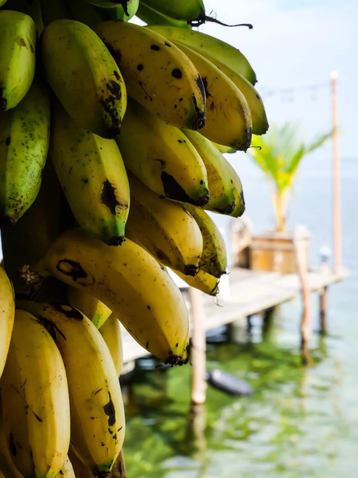 Barrbra BnB Over The Sea