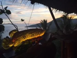 Karang Aji Beach Villa
