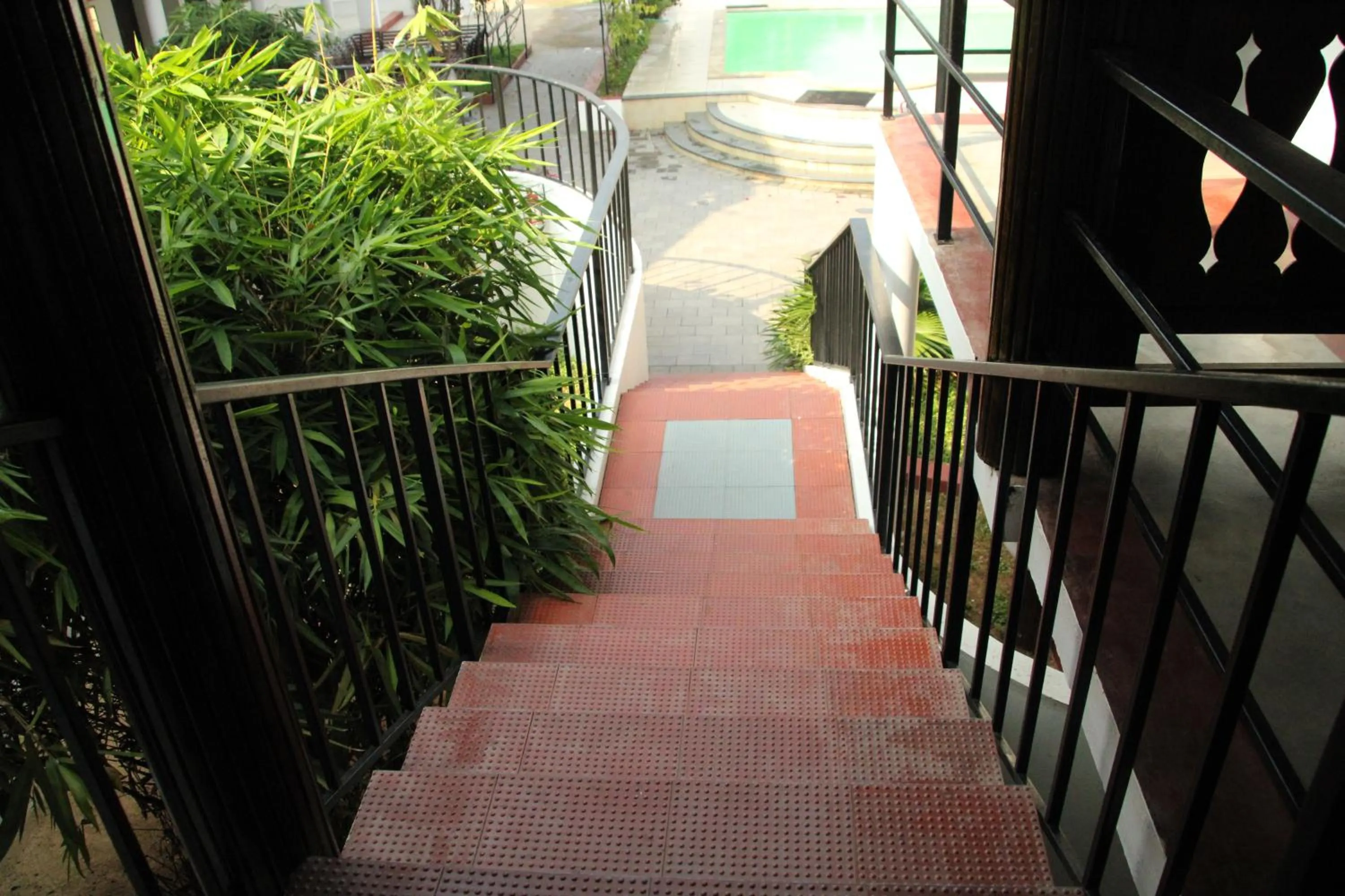 Other in Petit Elephant