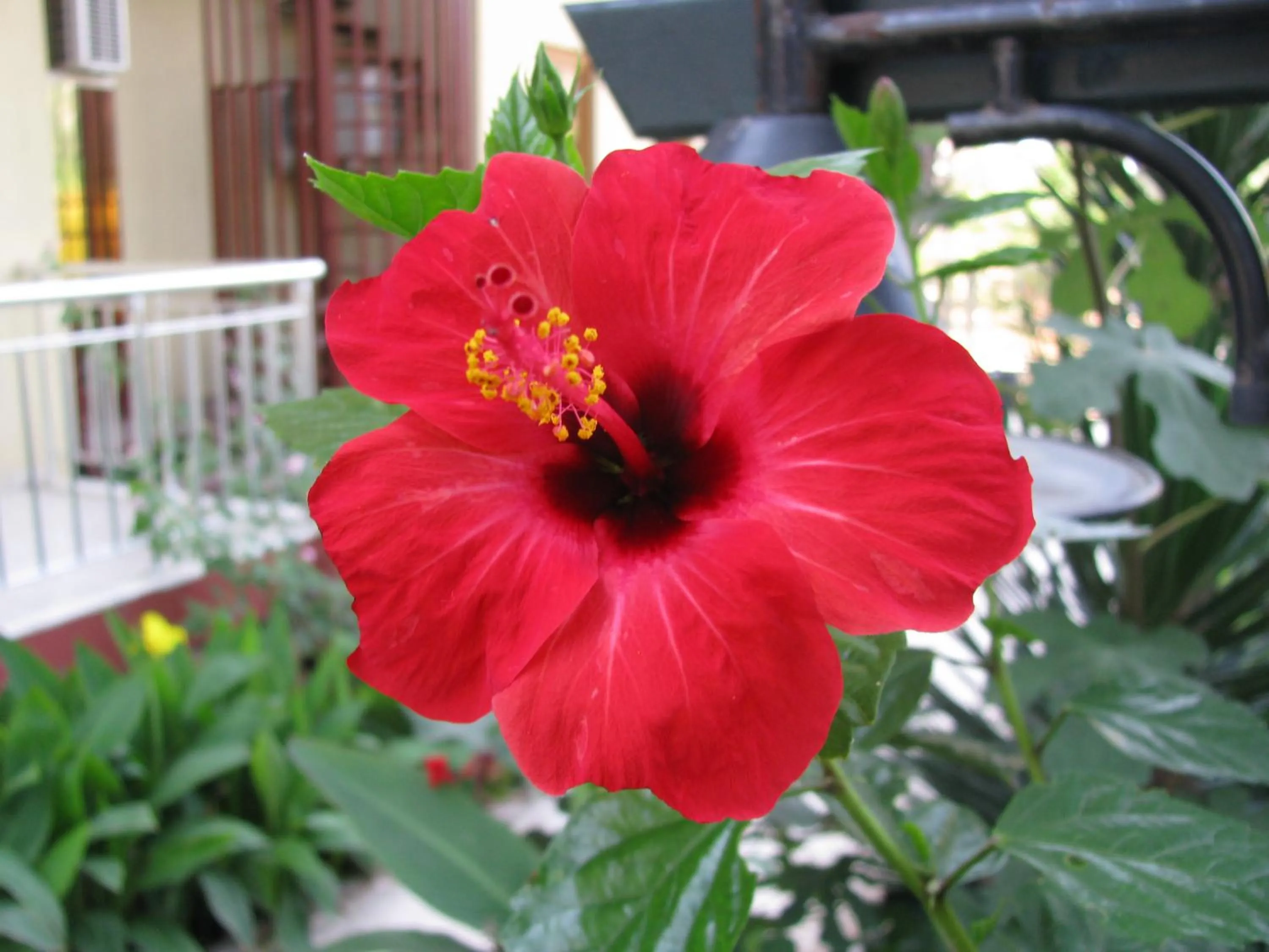 Other in Hotel Sumela Garden - All Inclusive