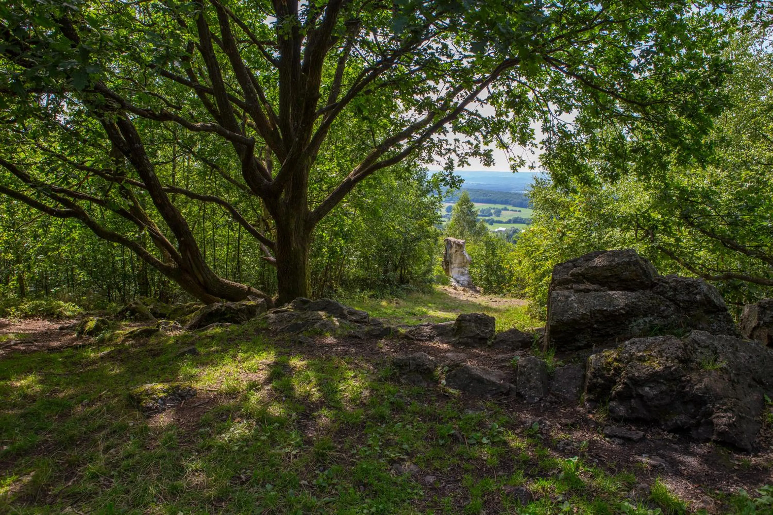Hiking in B&B Chez tante Alice