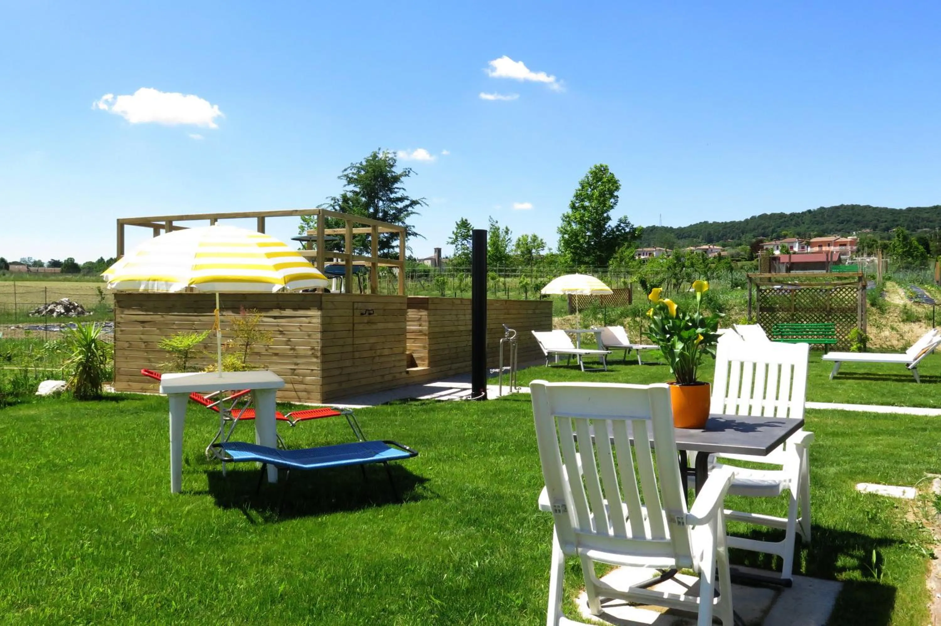 Garden in Art Gallery Rooms