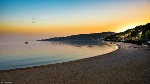 Beach in Art Gallery Rooms