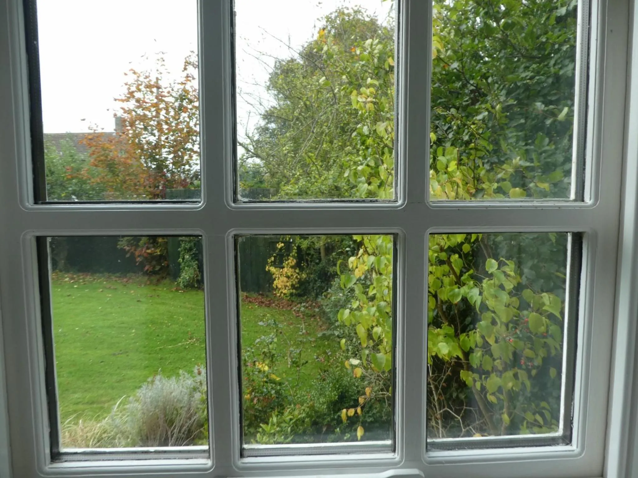 Garden view in West View Farm