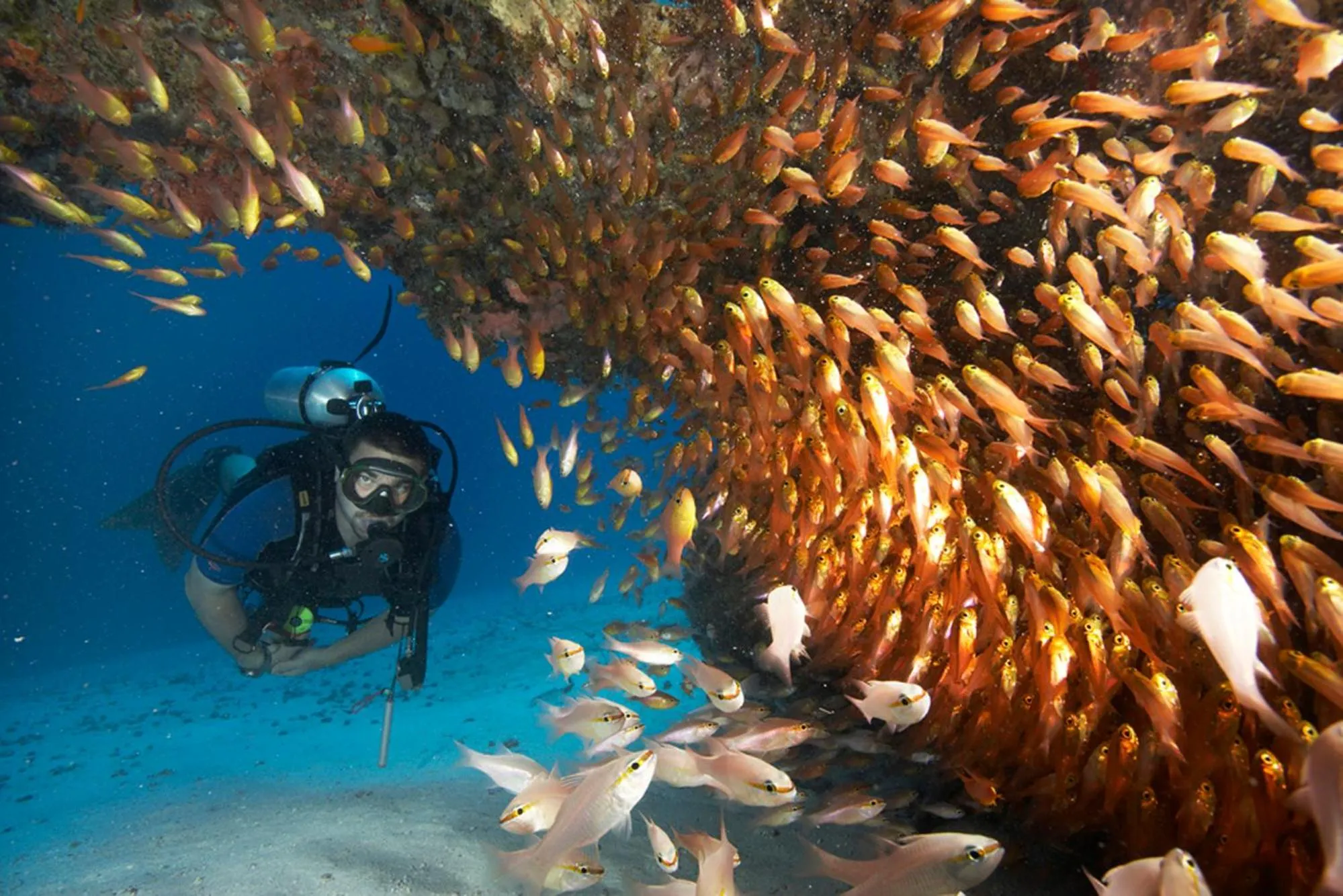 Diving in Zawadi Hotel, Zanzibar