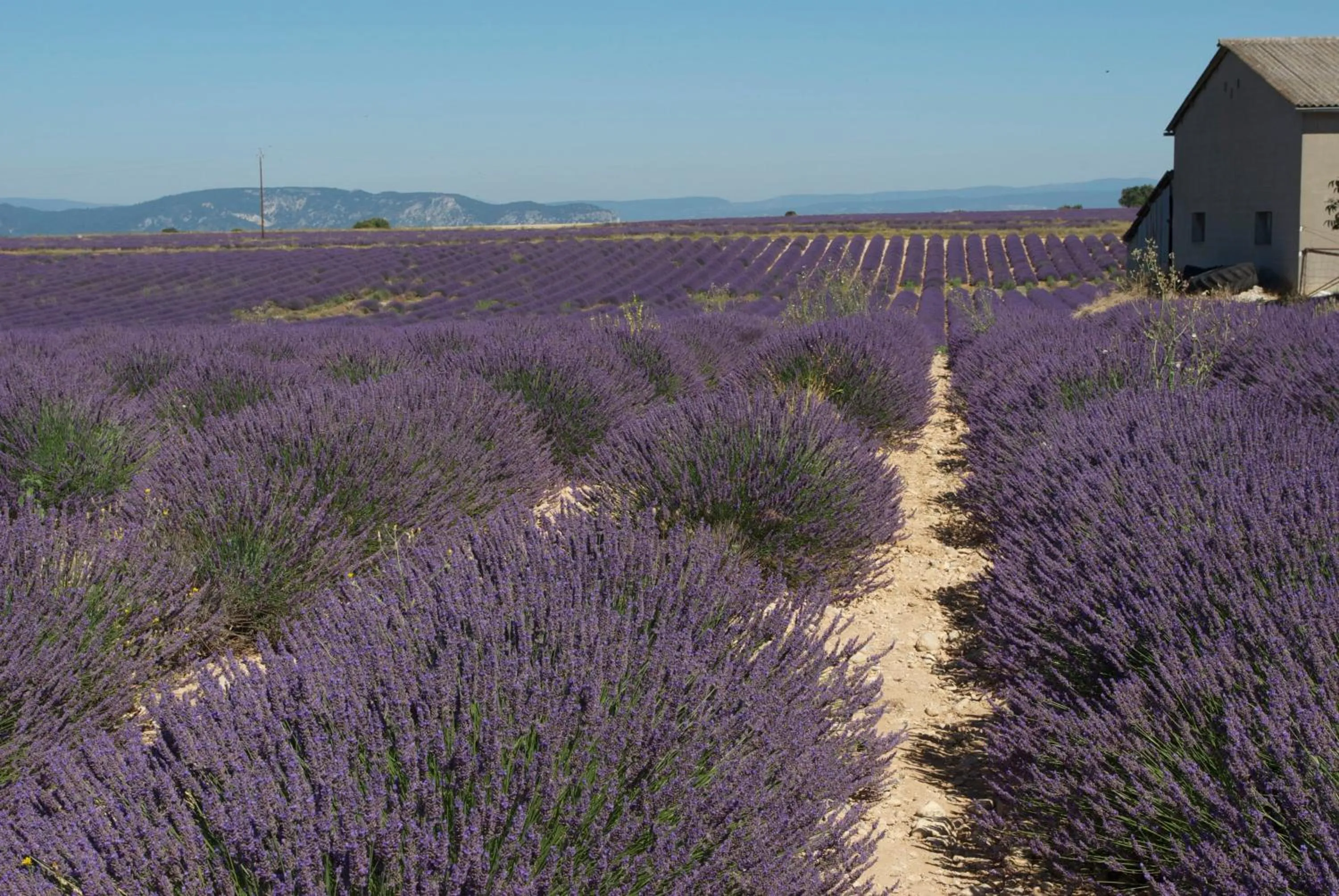 Nearby landmark in B&B Villa Viva Vitale