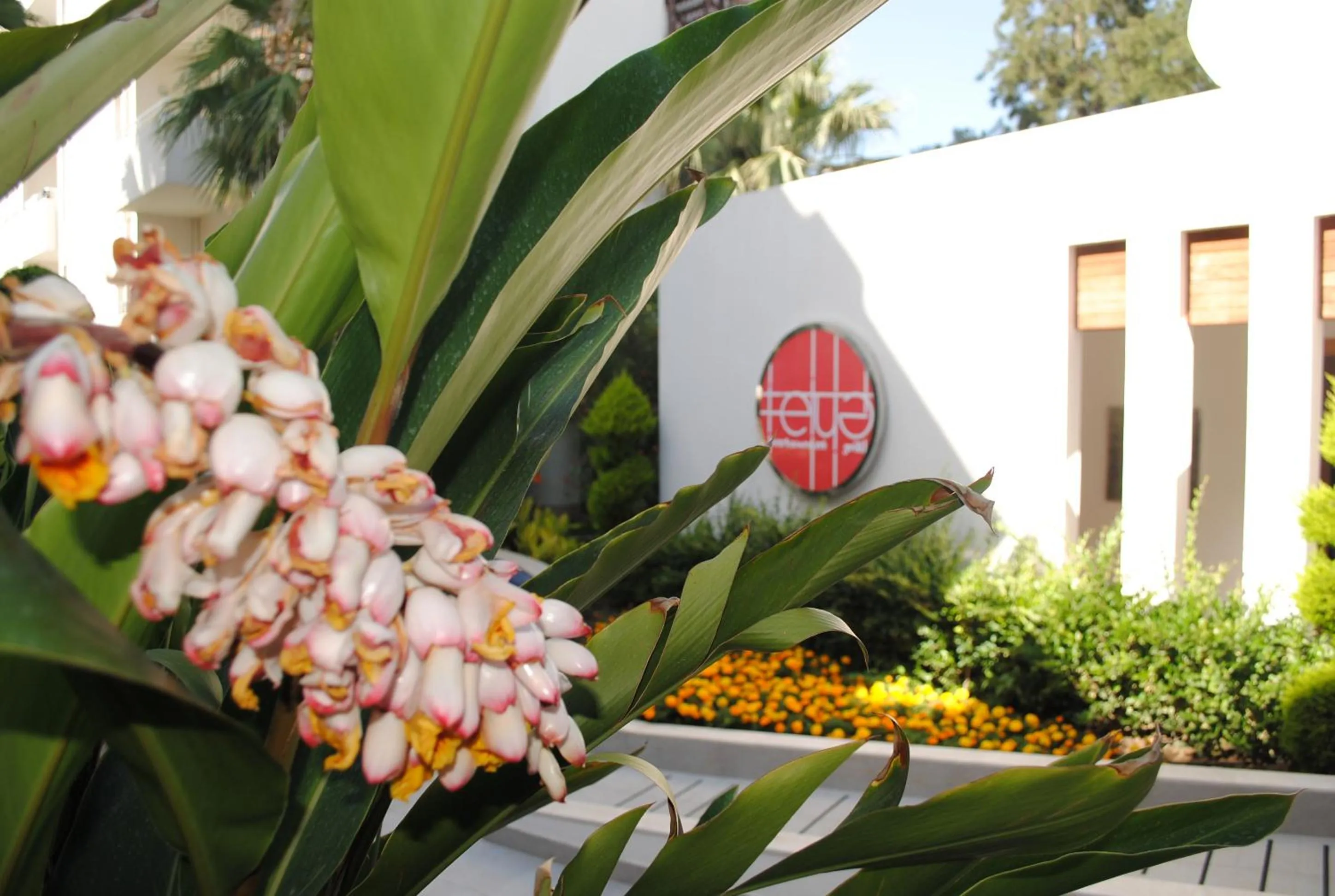 Garden in Calimera Side Resort