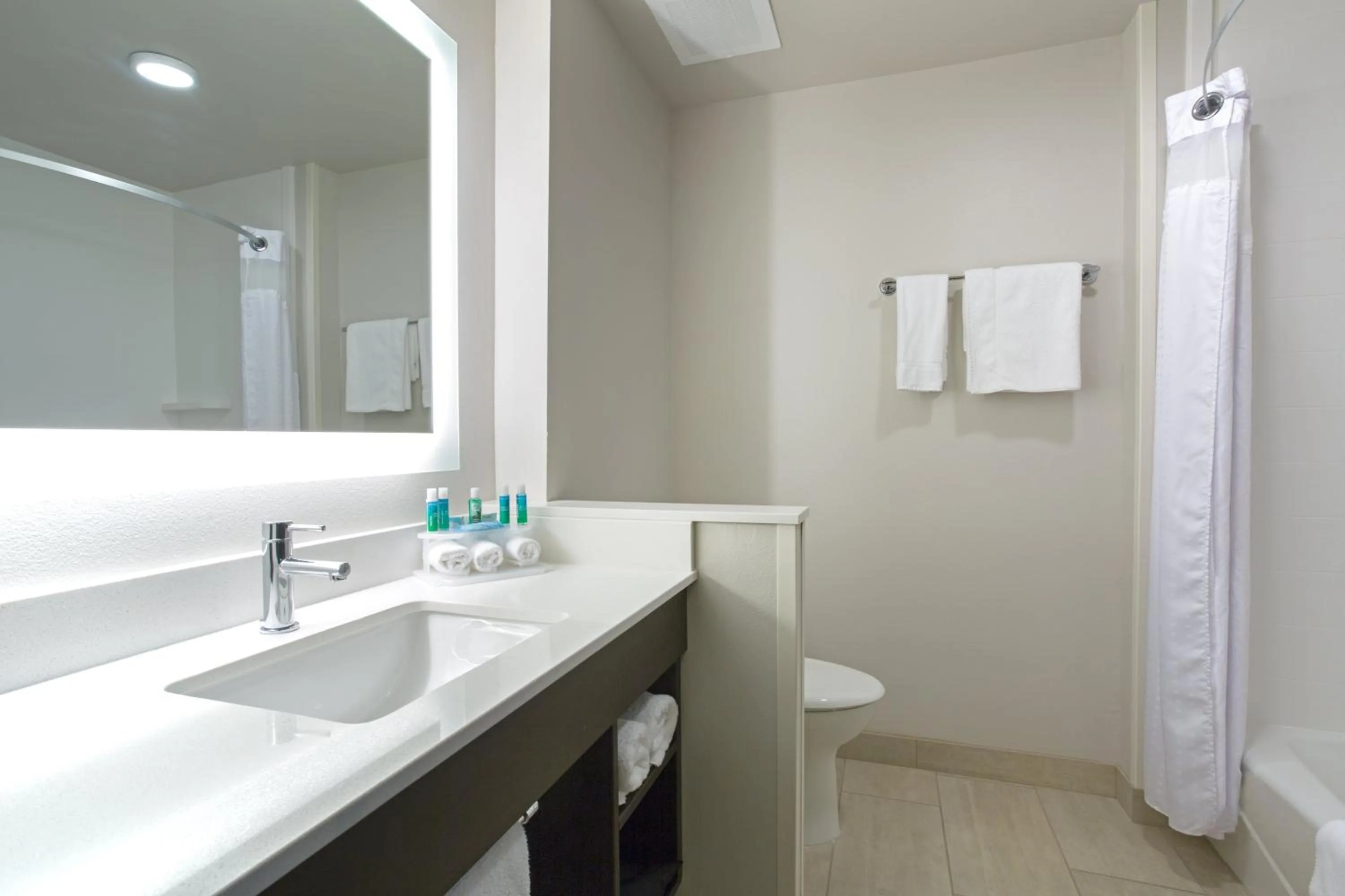 Bathroom in Holiday Inn Express & Suites Lincoln I - 80 by IHG