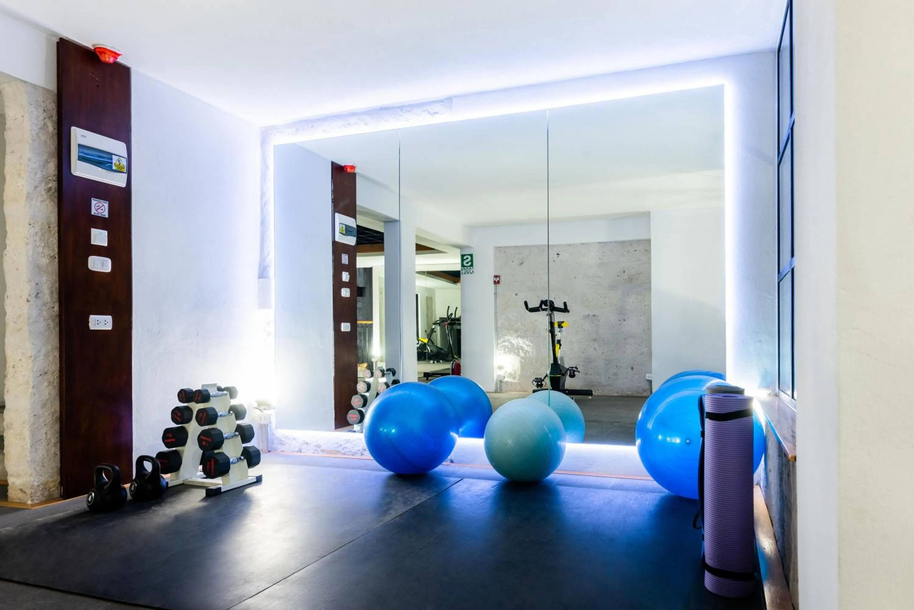 Fitness centre/facilities in Palla Boutique Hotel