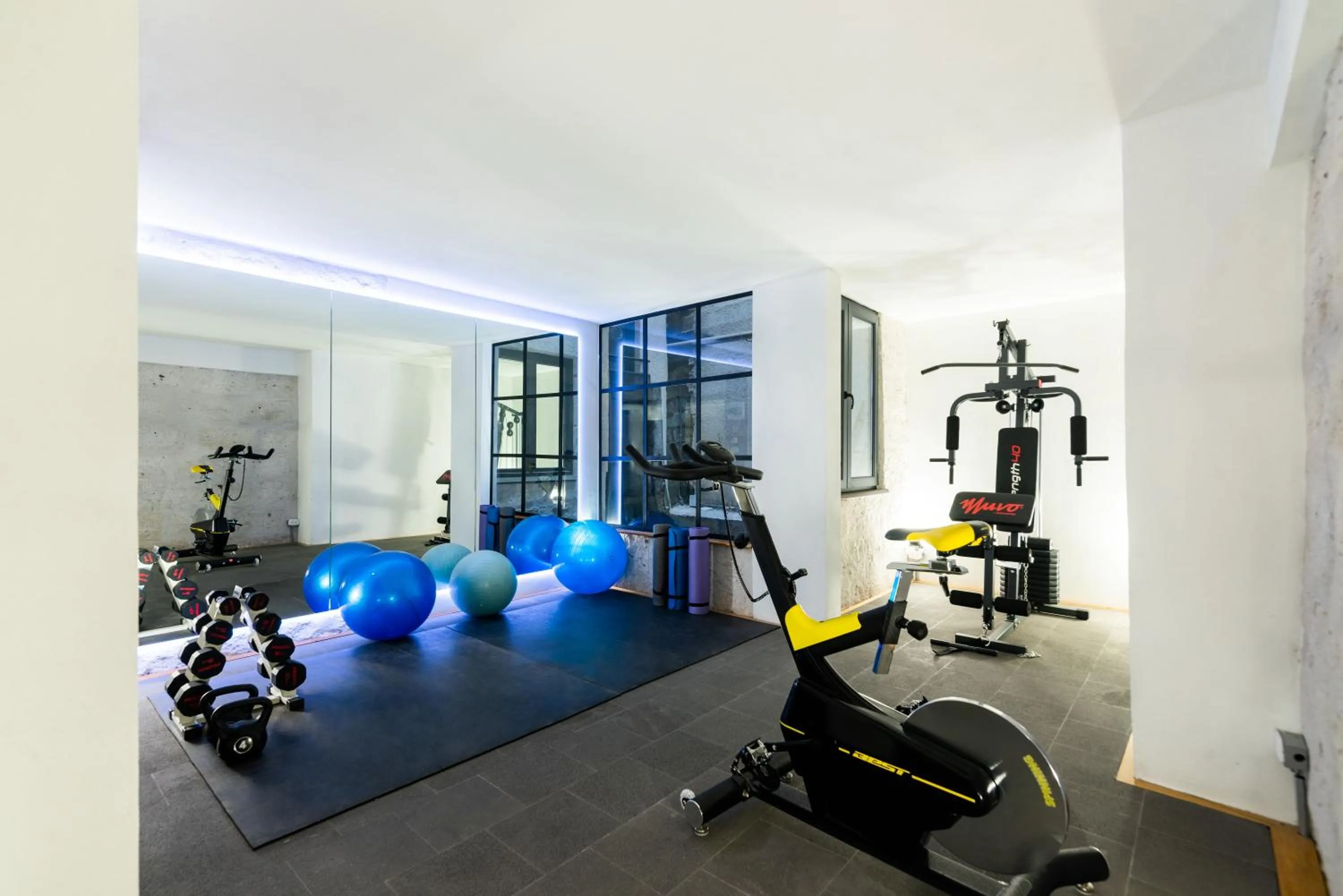Fitness centre/facilities in Palla Boutique Hotel