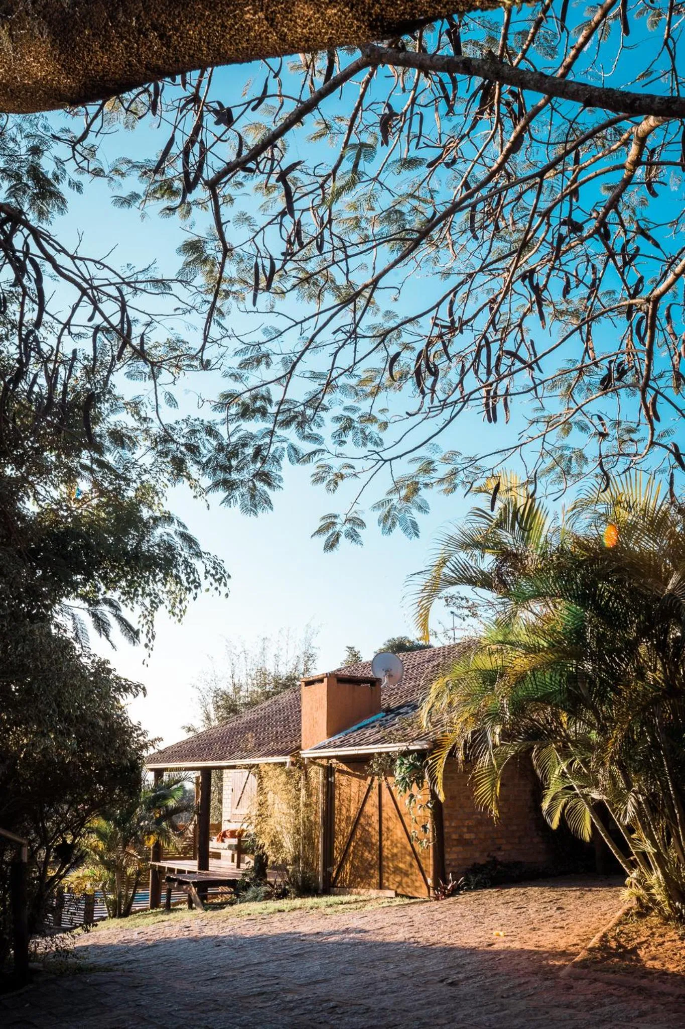 Garden in Pousada Villa Seychelles