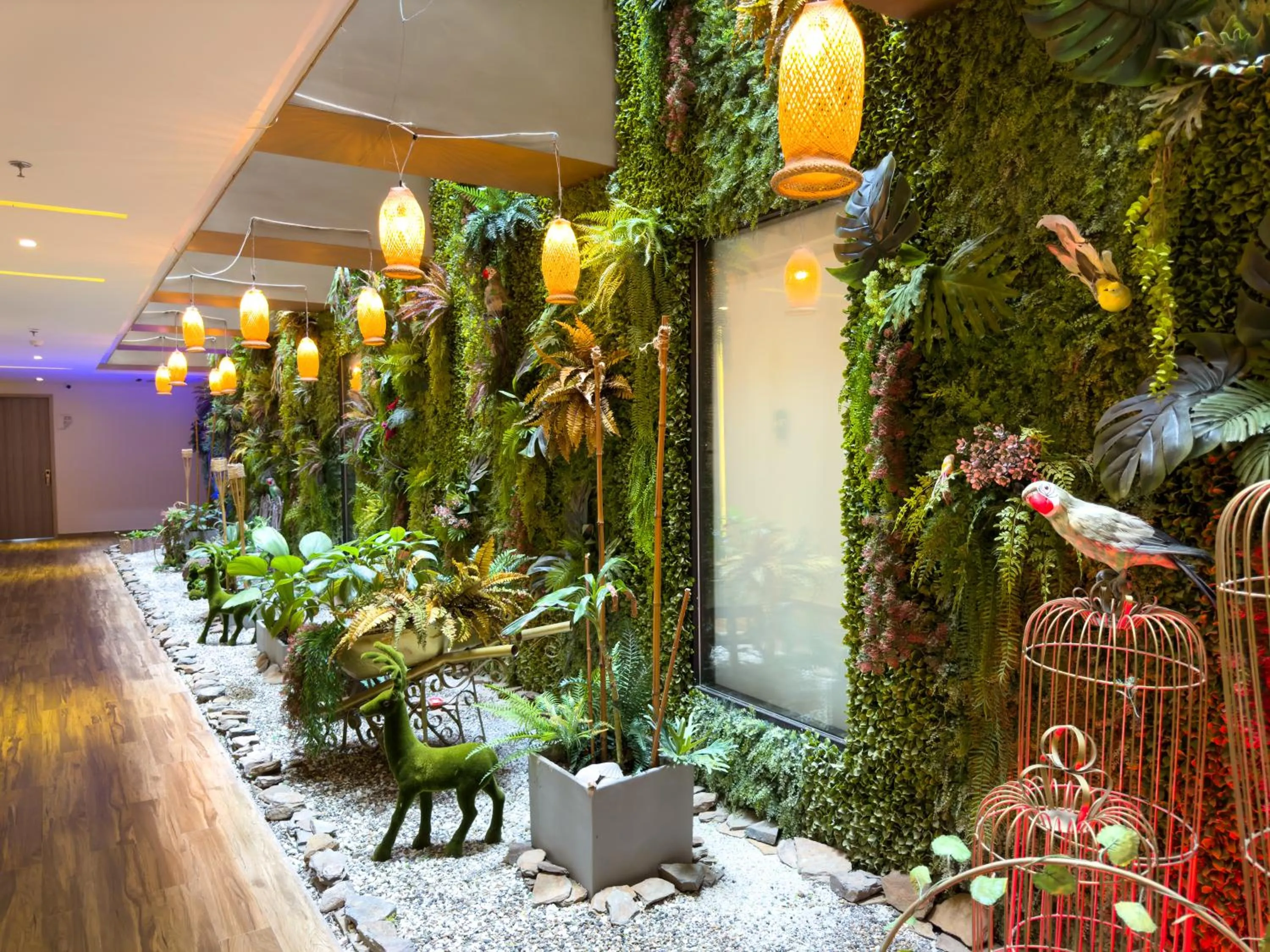 Garden view in Hotel Catedral Plaza