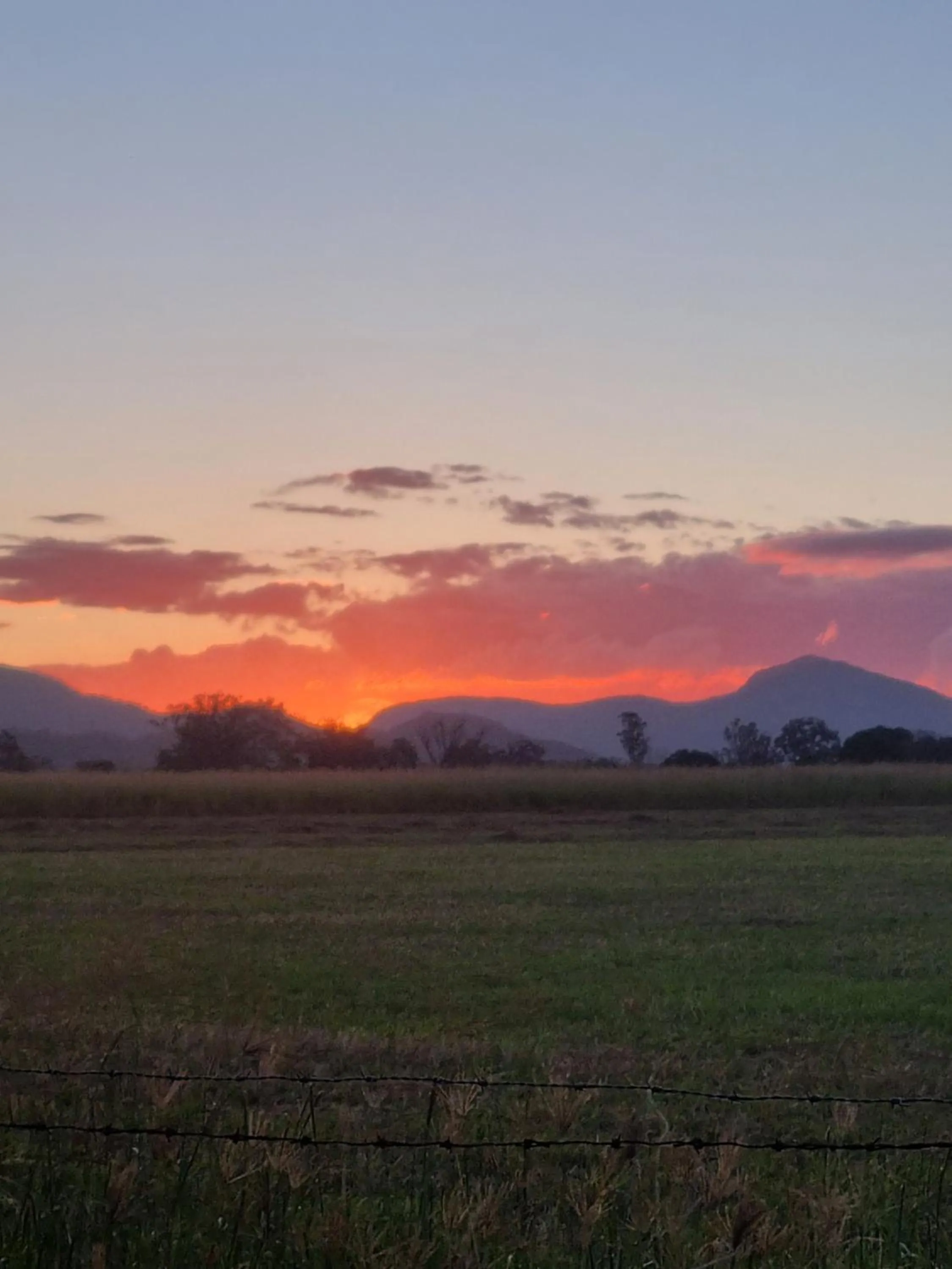 Day in Koorawatha Homestead Motel