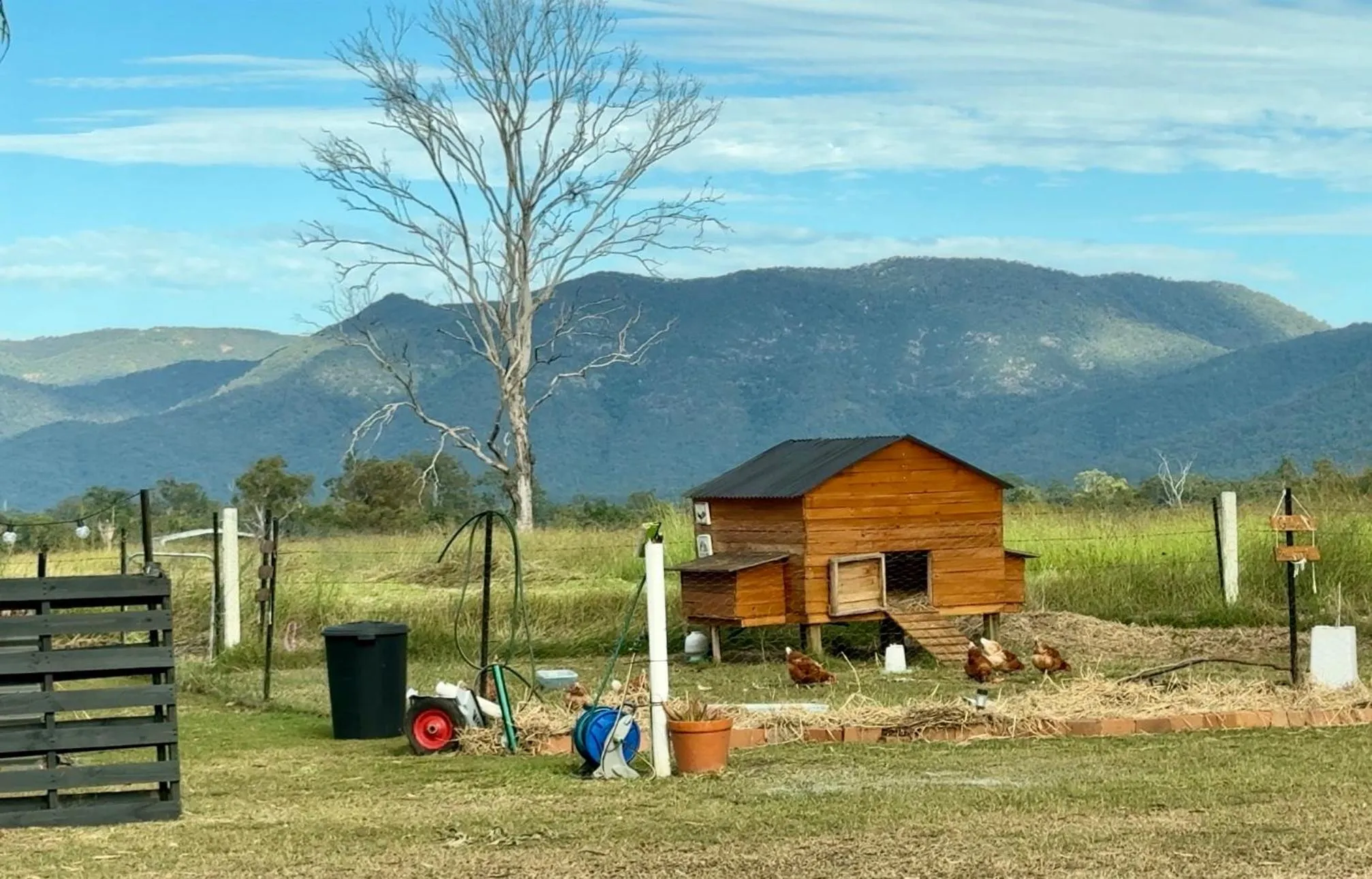 Koorawatha Homestead Motel