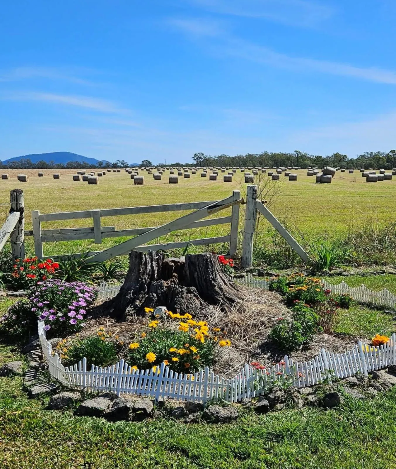Koorawatha Homestead Motel