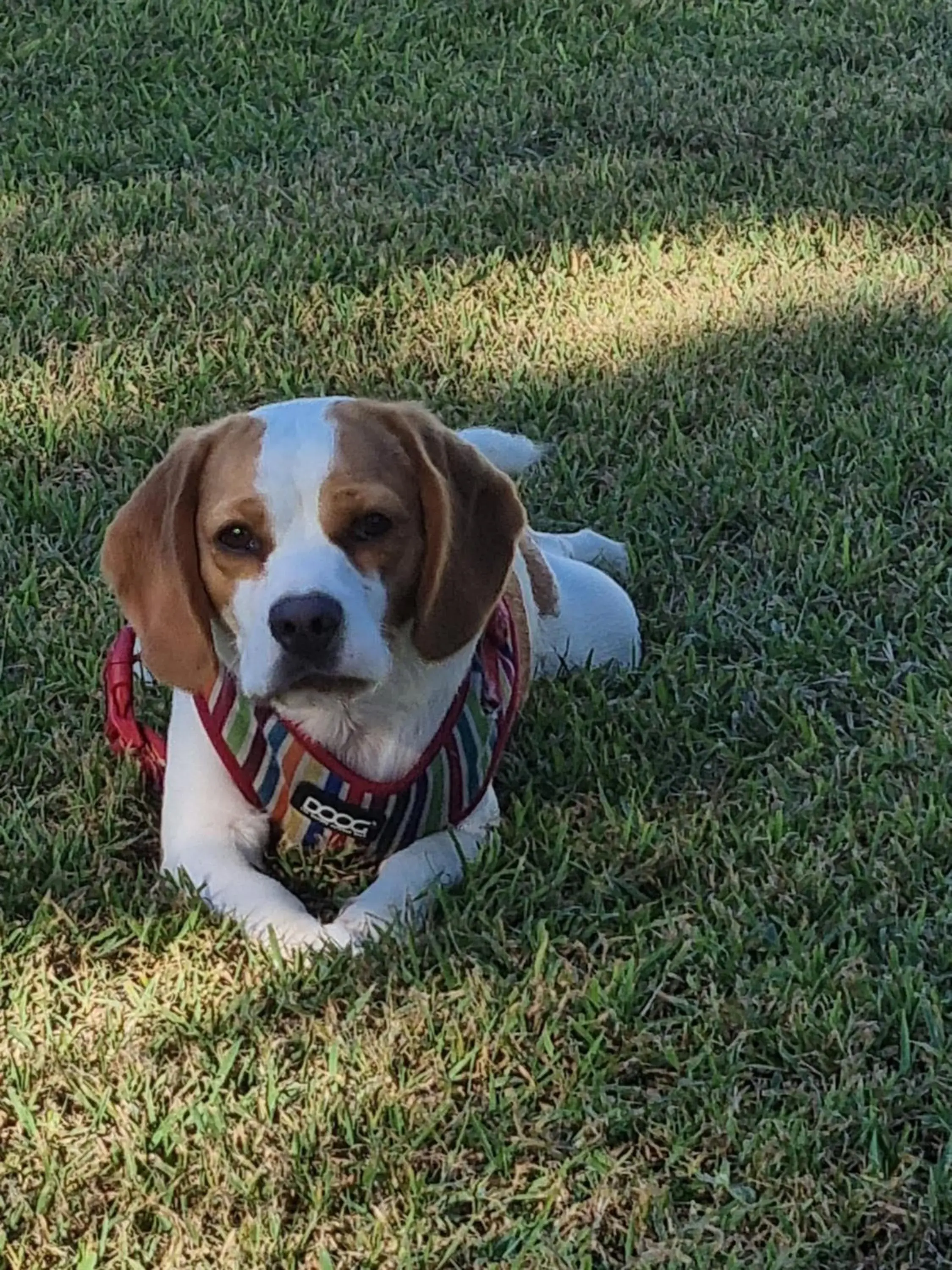 Twin Room in Koorawatha Homestead Motel Twin Room in Koorawatha Homestead Motel