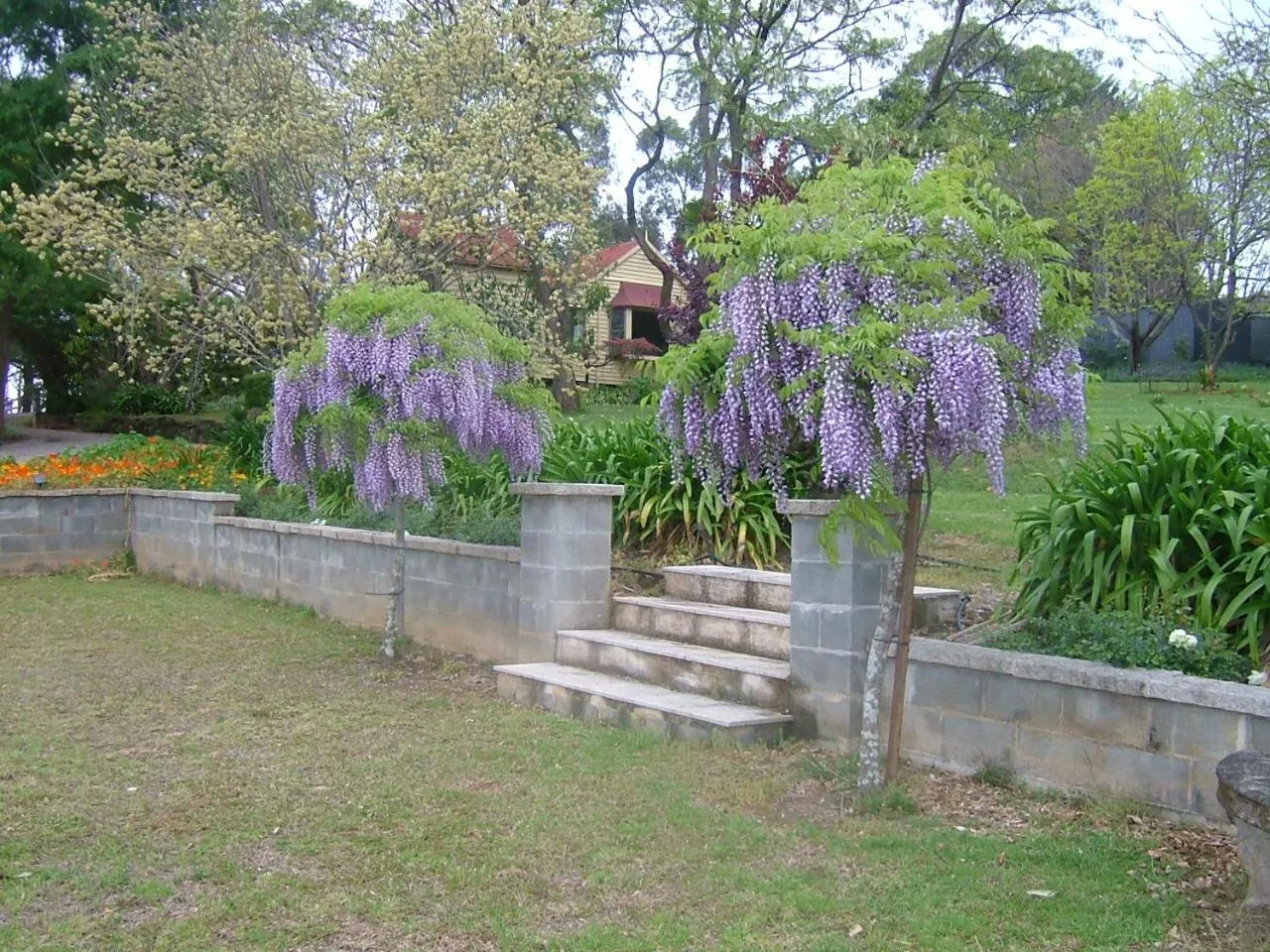 Garden in Hermitage Cottage