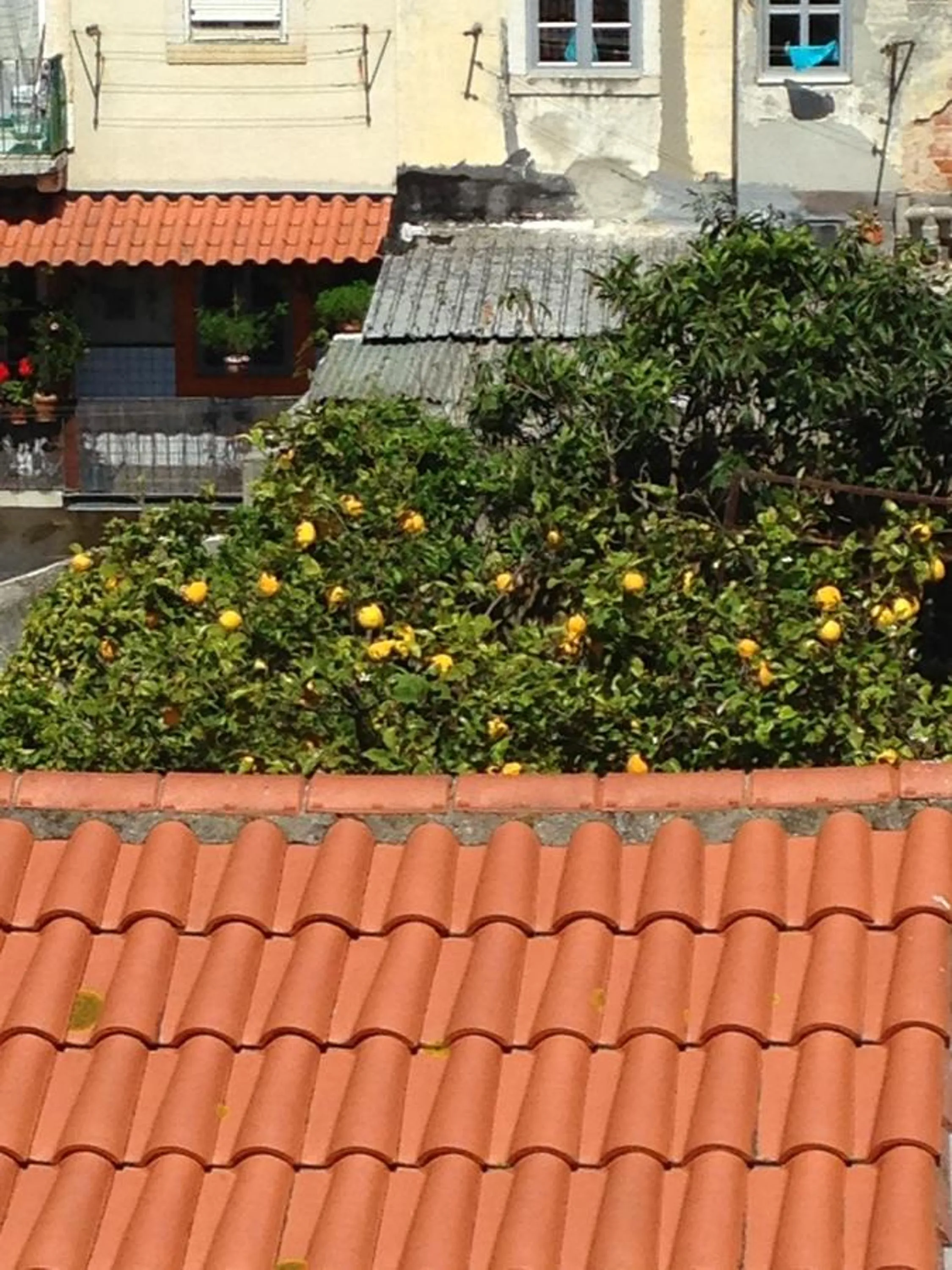 View (from property/room) in Cardal Apartment