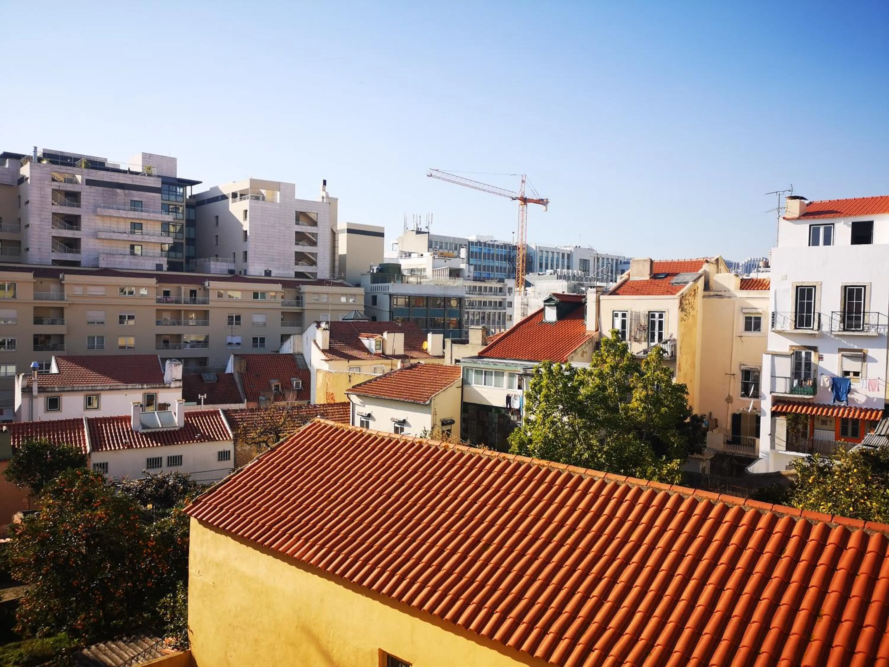 Neighbourhood in Cardal Apartment