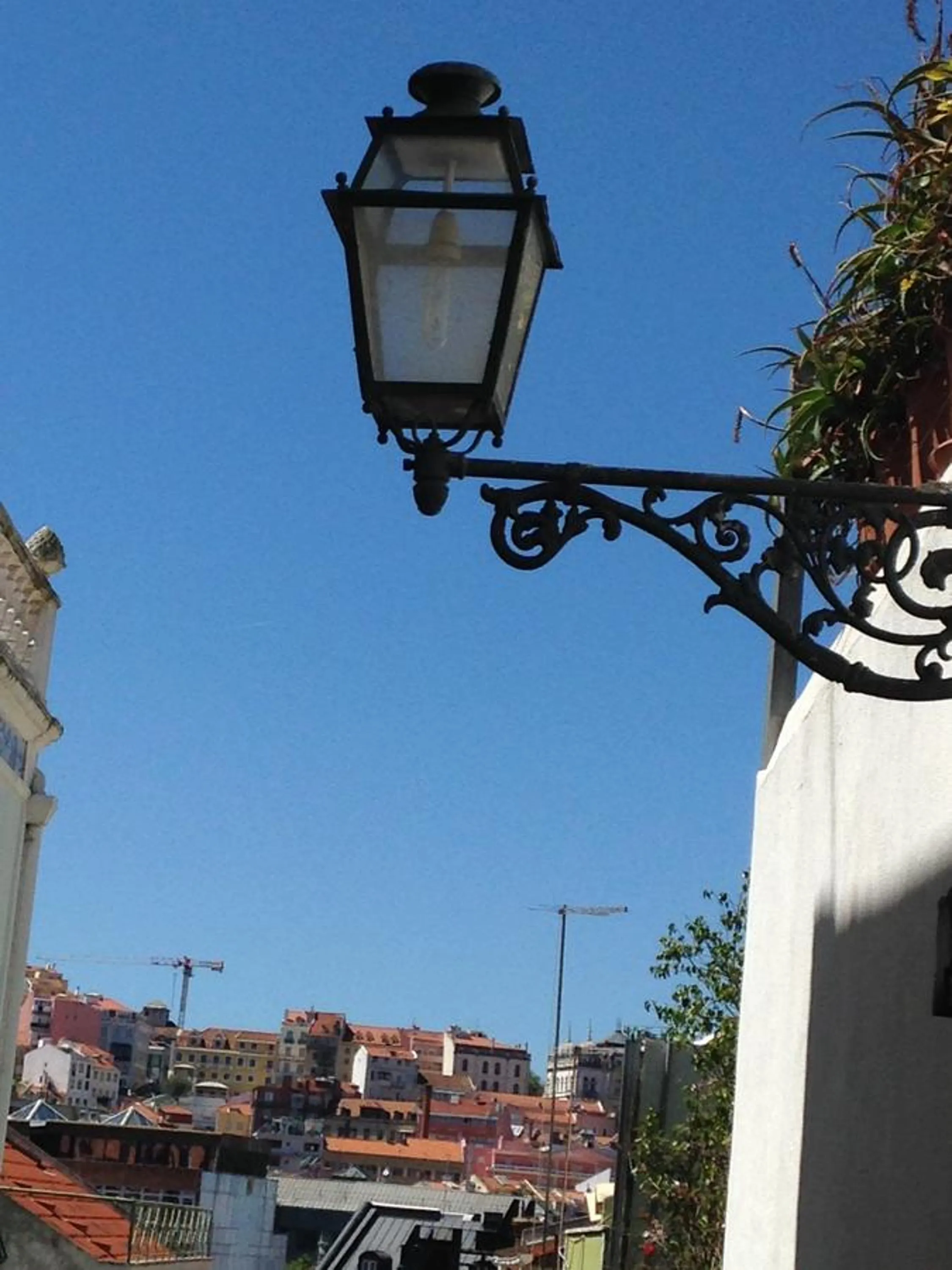 Street view in Cardal Apartment