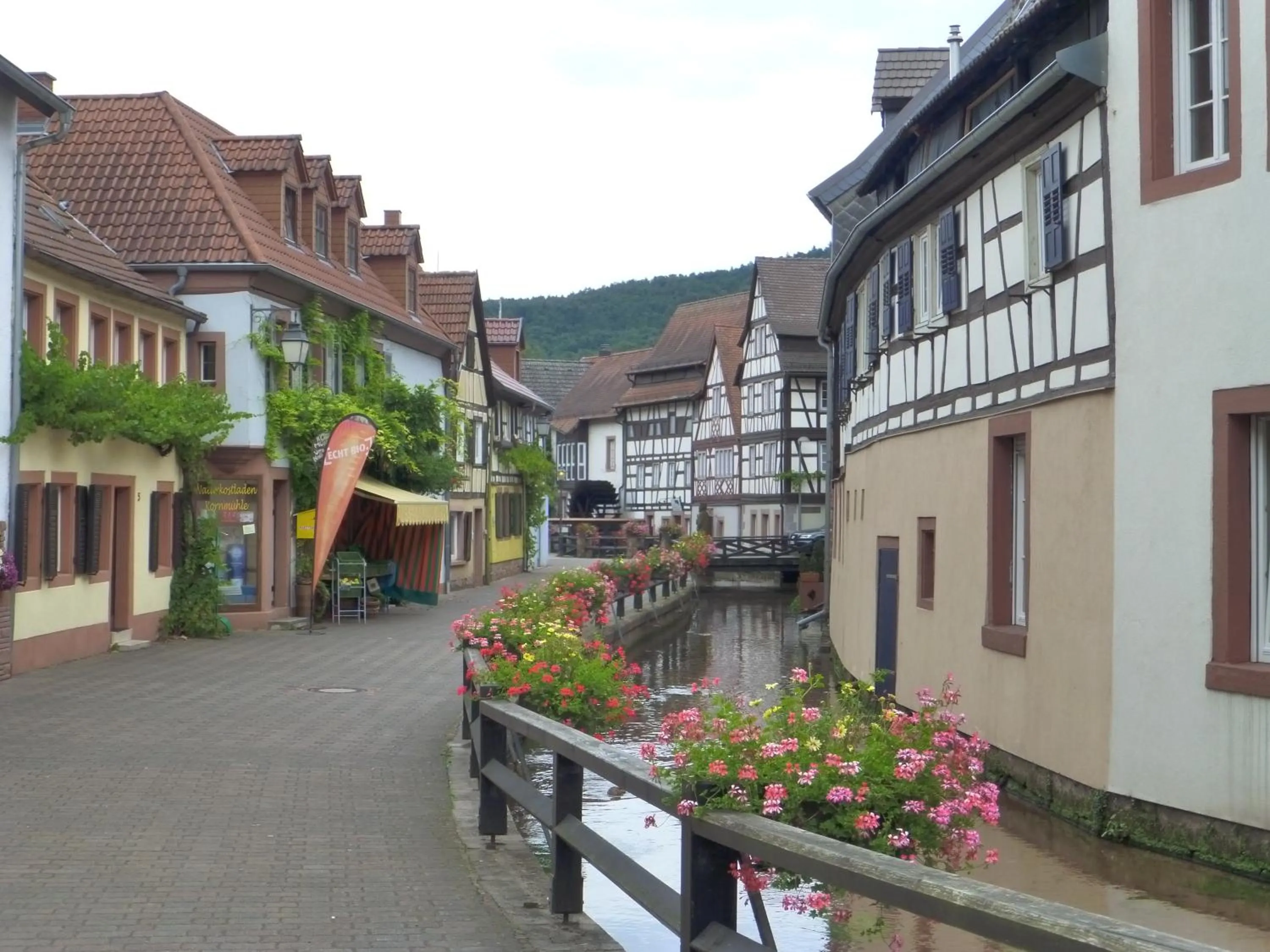Neighbourhood in Jugendstilhotel Trifels