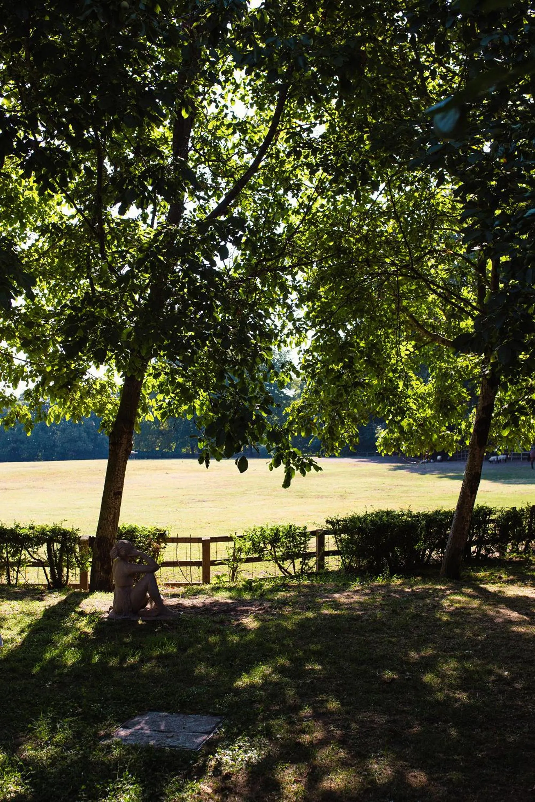 Garden in La Cucchetta