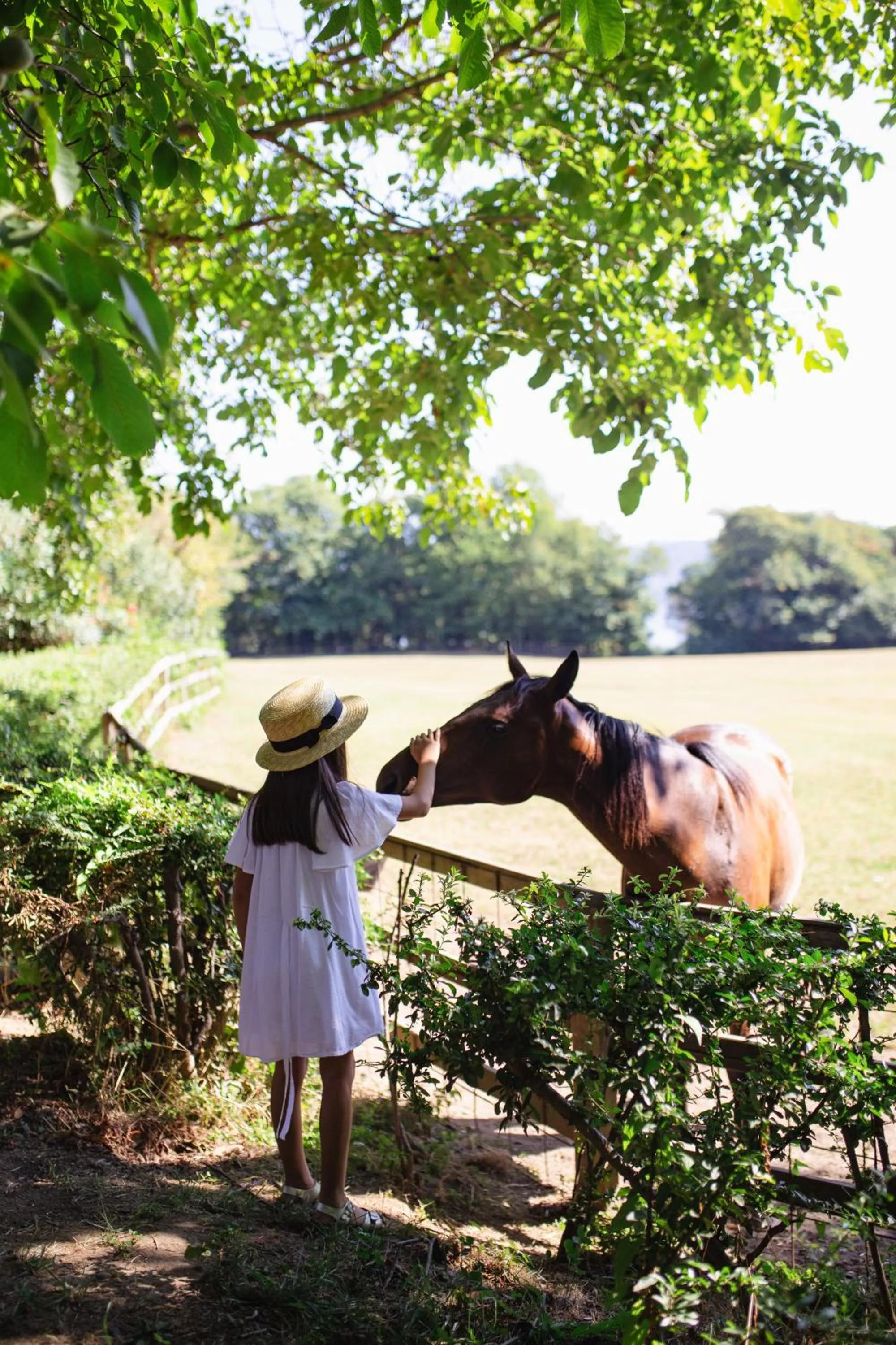 Garden in La Cucchetta
