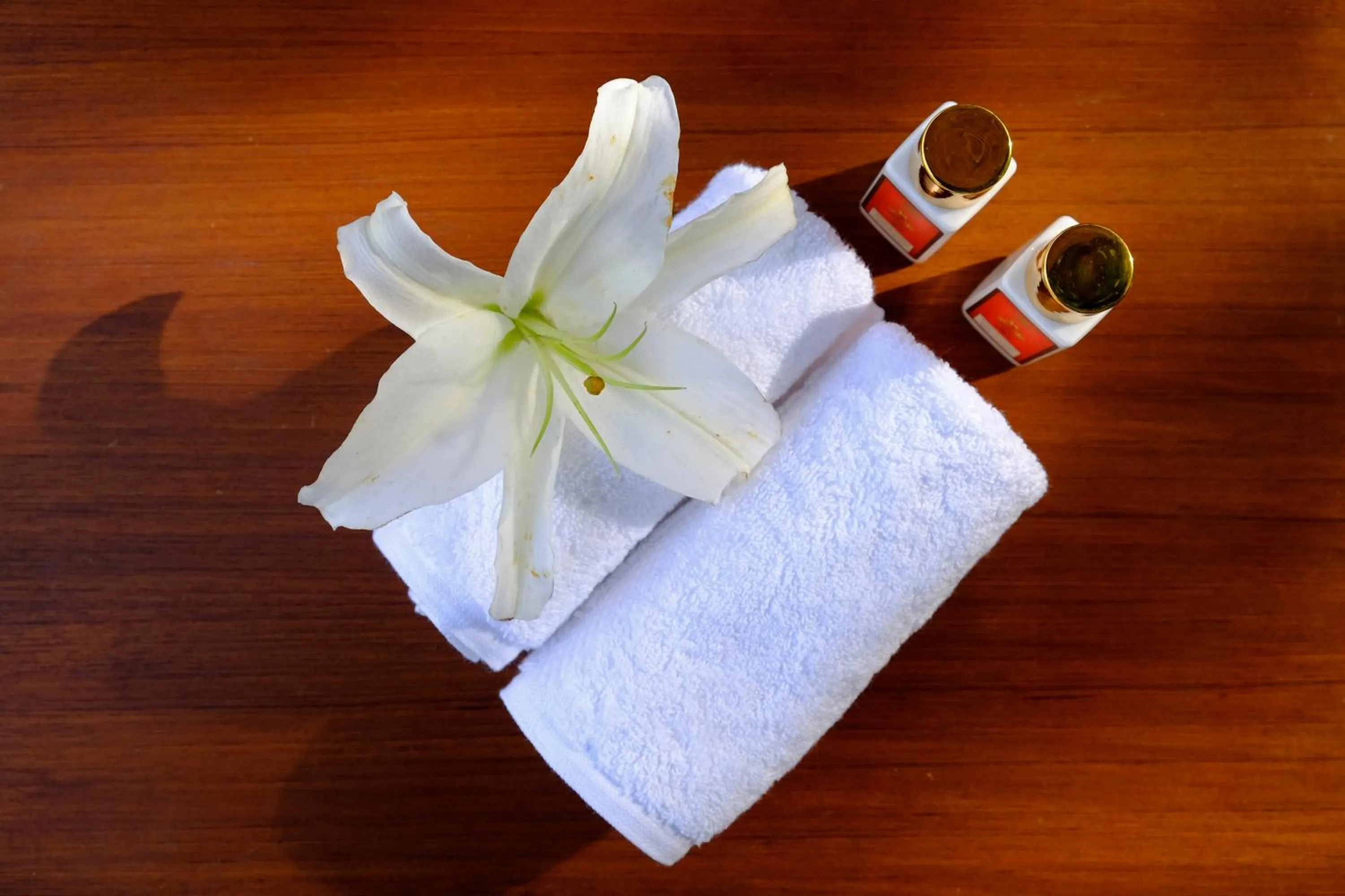 Other in Saraca Hotel Lucknow