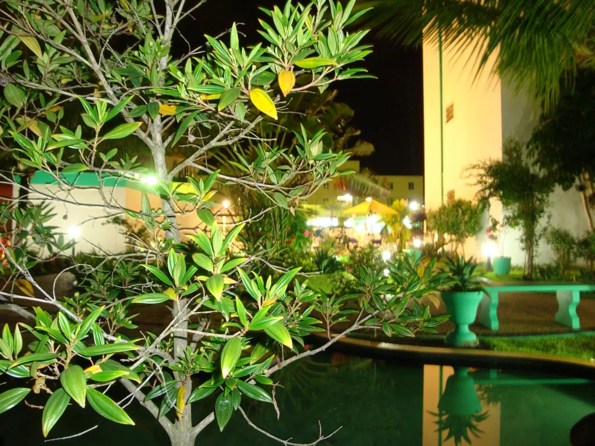 Garden in Hotel Aojesp