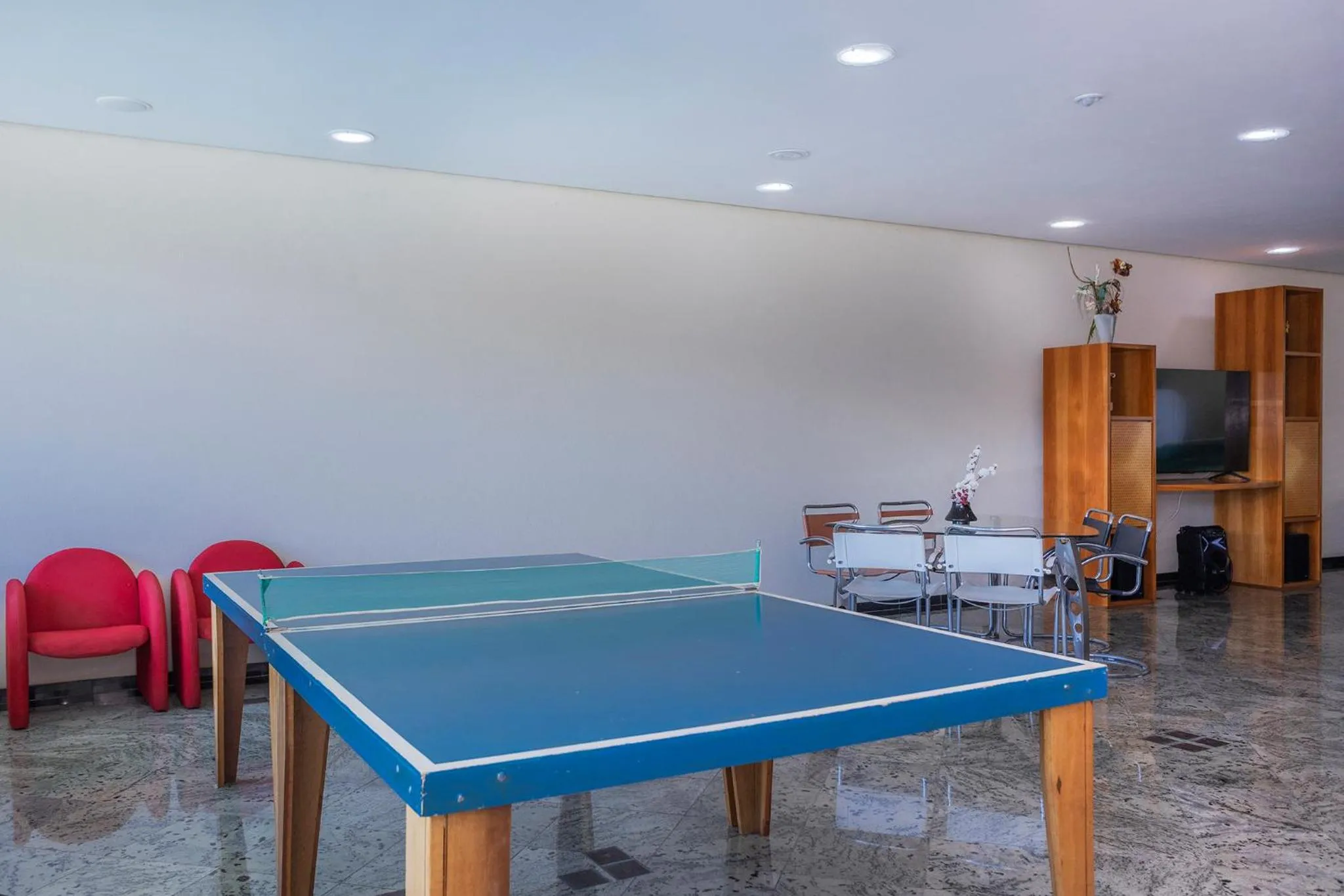 Game Room in Hotel Aojesp