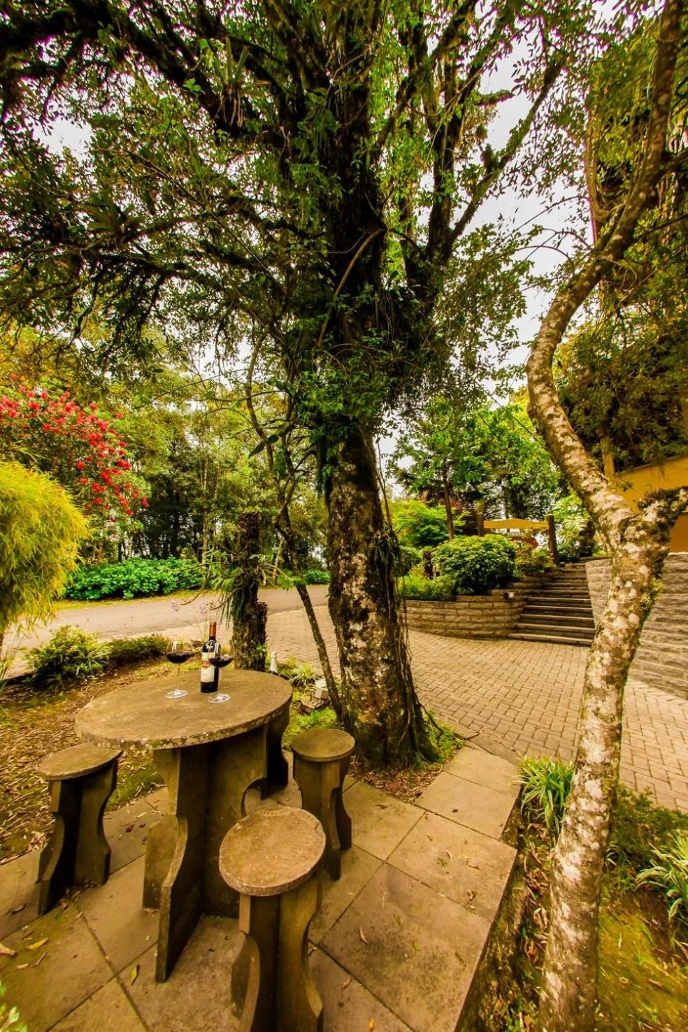 Patio in Pousada Das Papoulas