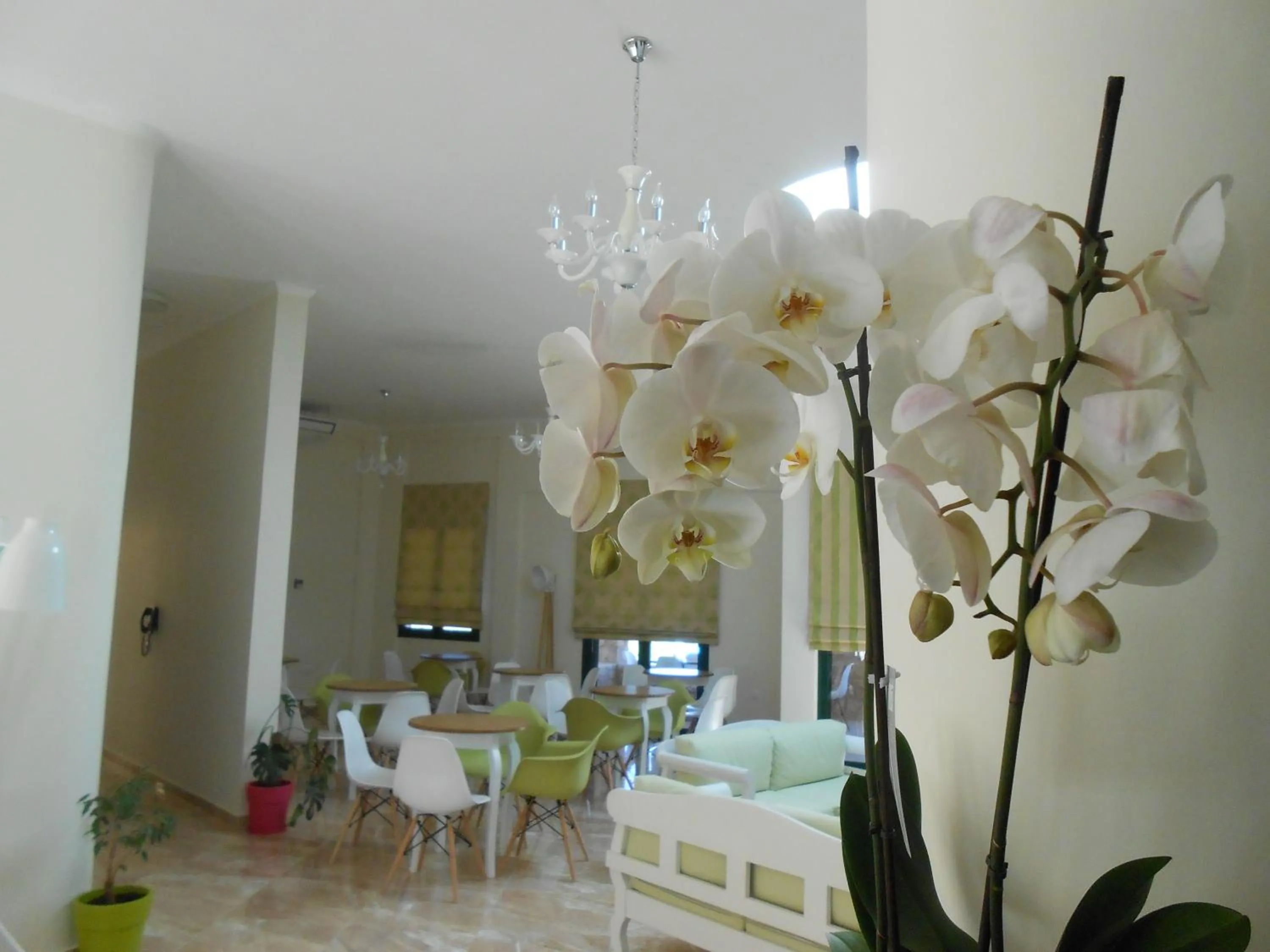 Property building in Element Hotel