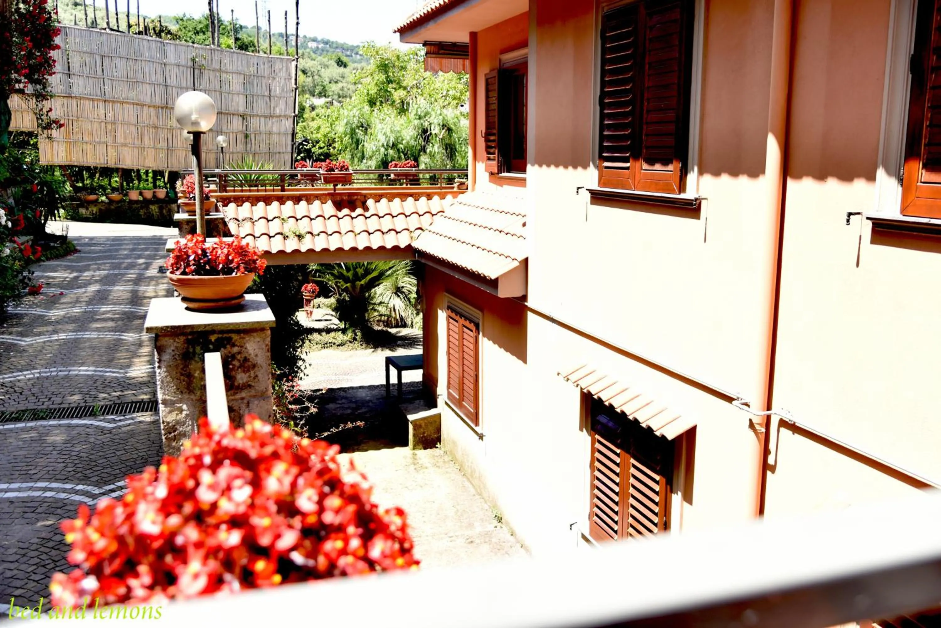 Property building in Bed and Lemons