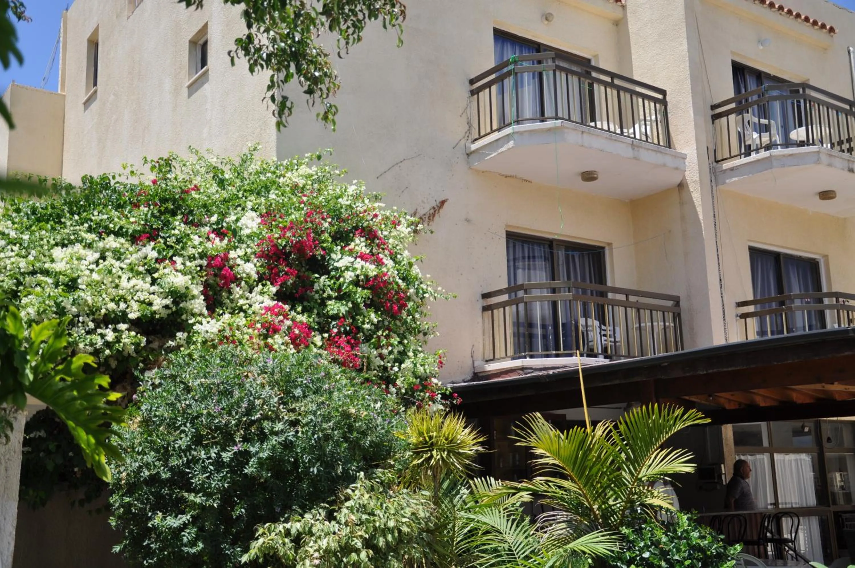 Property building in Mariela Hotel Apartments