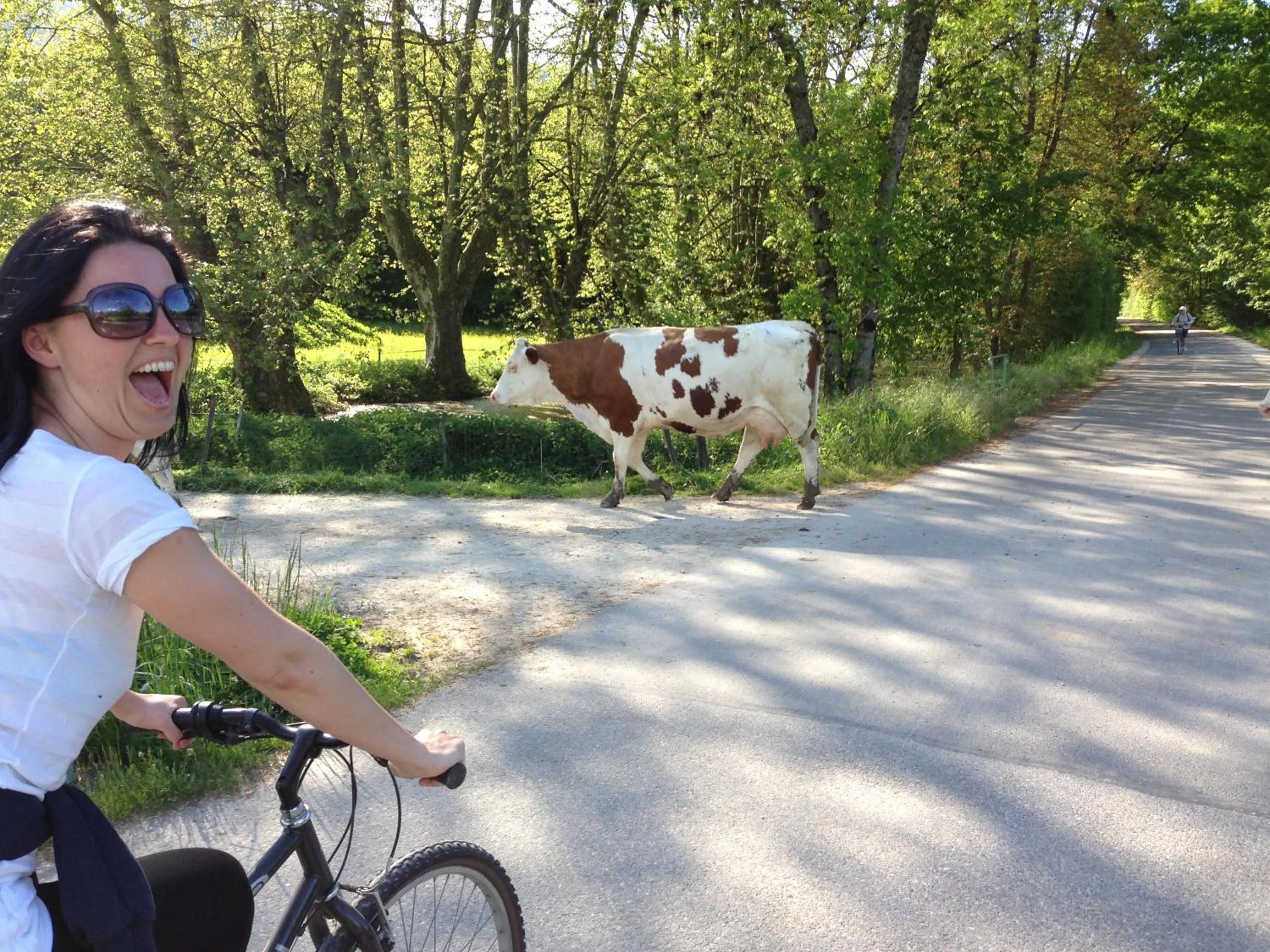Spring in B&B Le Sourire du Lac