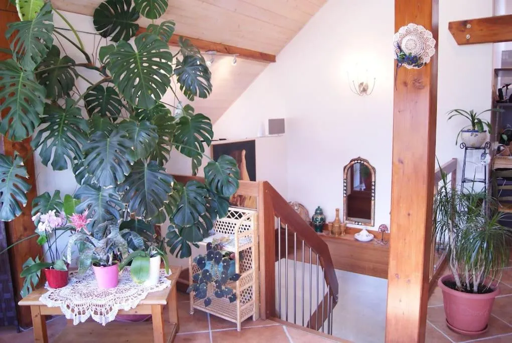 Living room in B&B Le Sourire du Lac