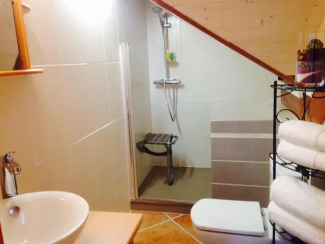 Shower in B&B Le Sourire du Lac