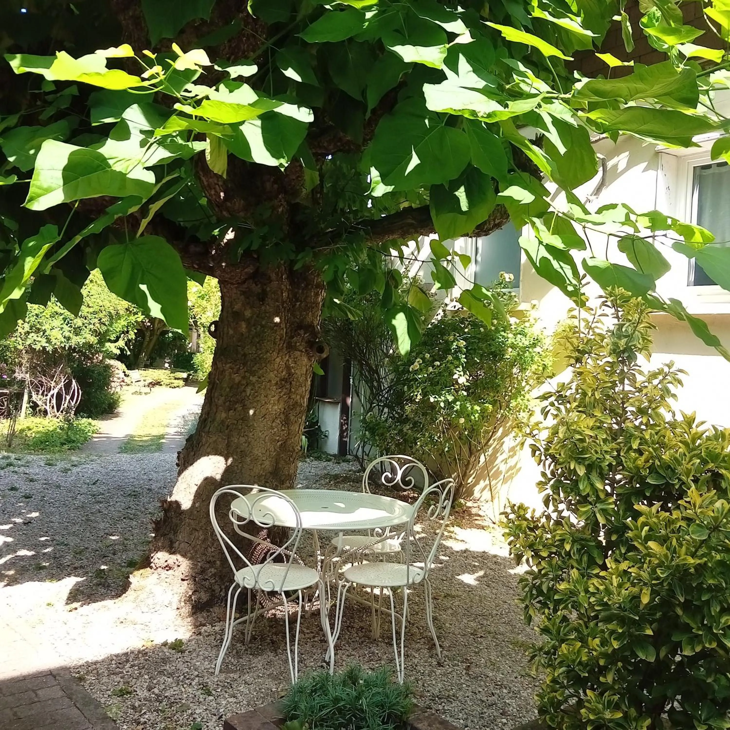 Garden in Les Charmilles